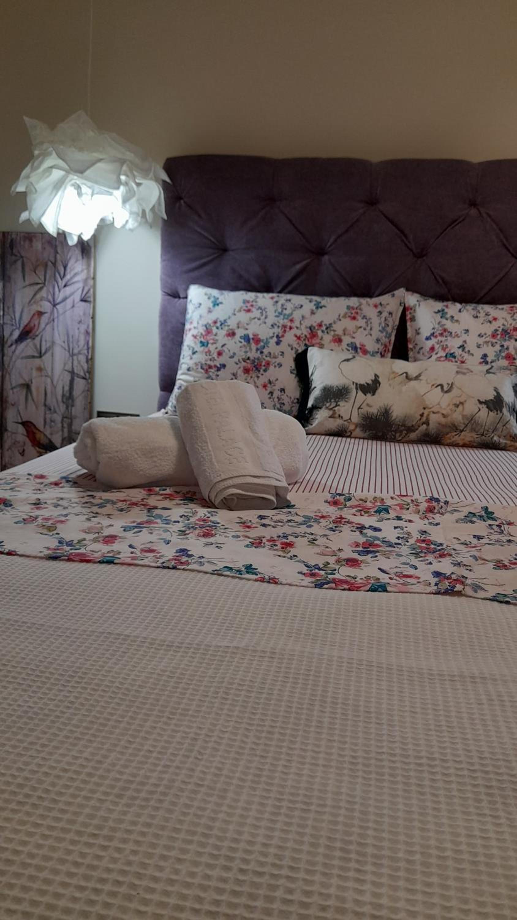 CENTRAL SPOT AXD photo 3