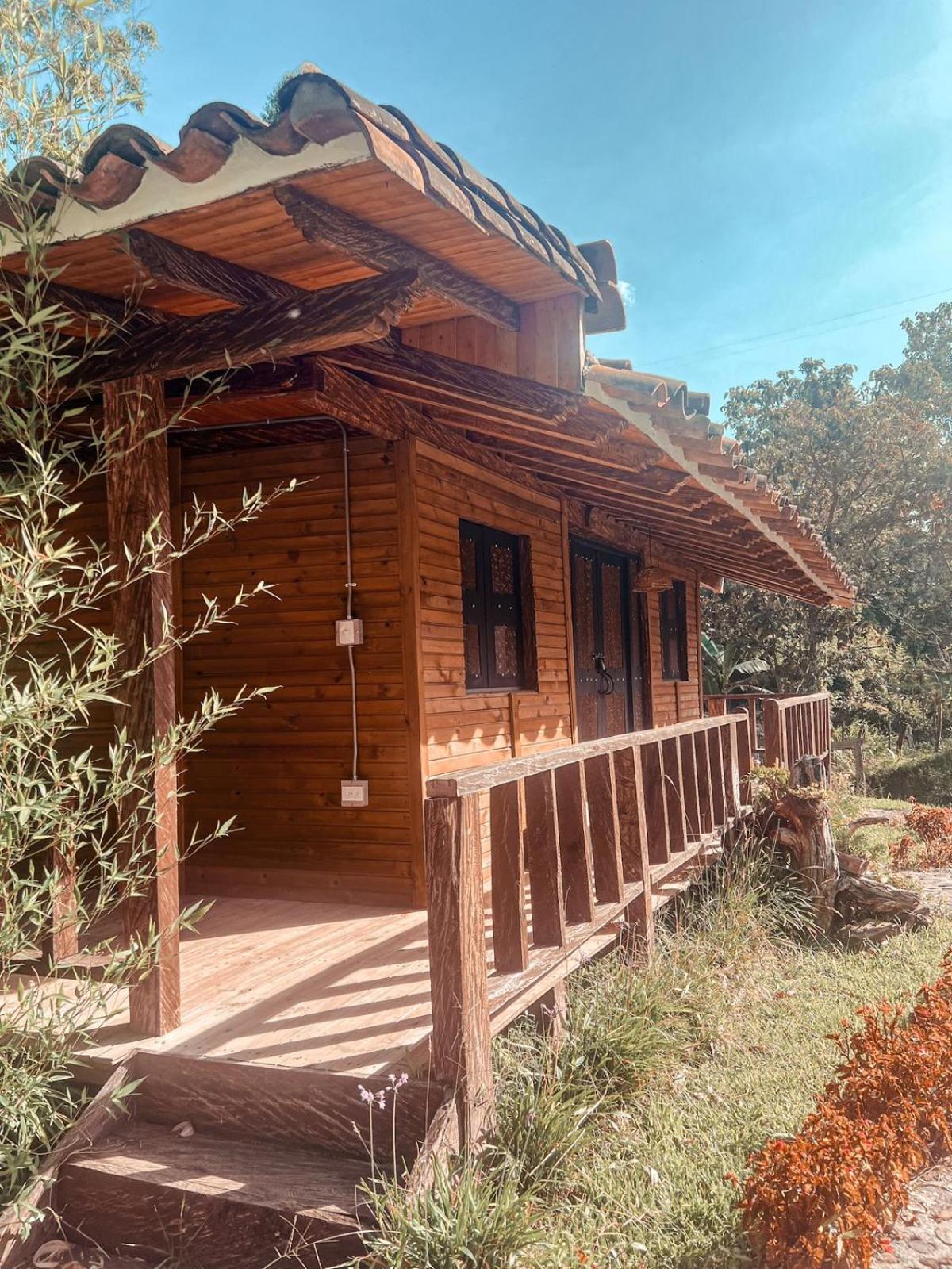 Las Orquídeas EcoHostel