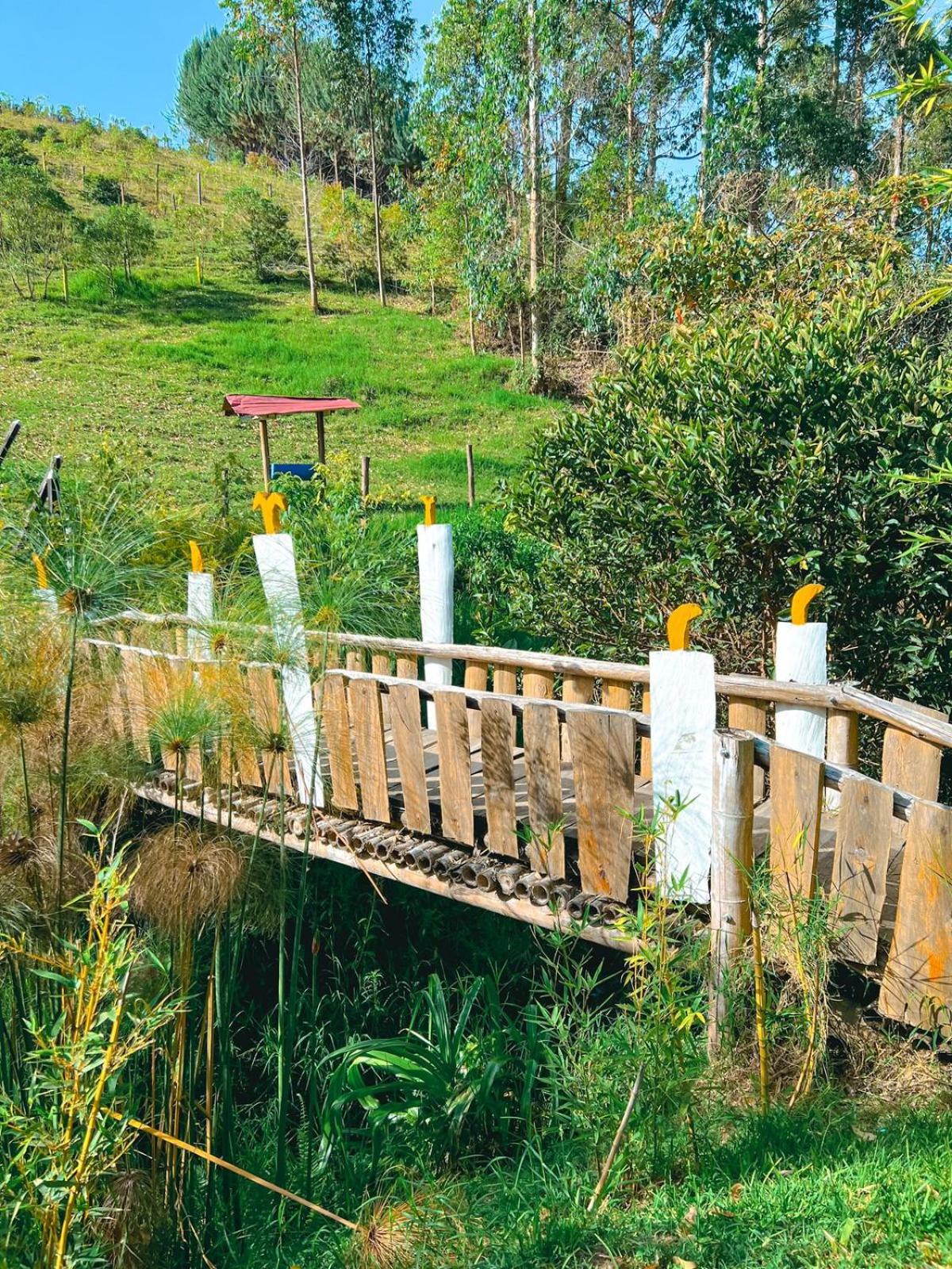 Las Orquídeas EcoHostel