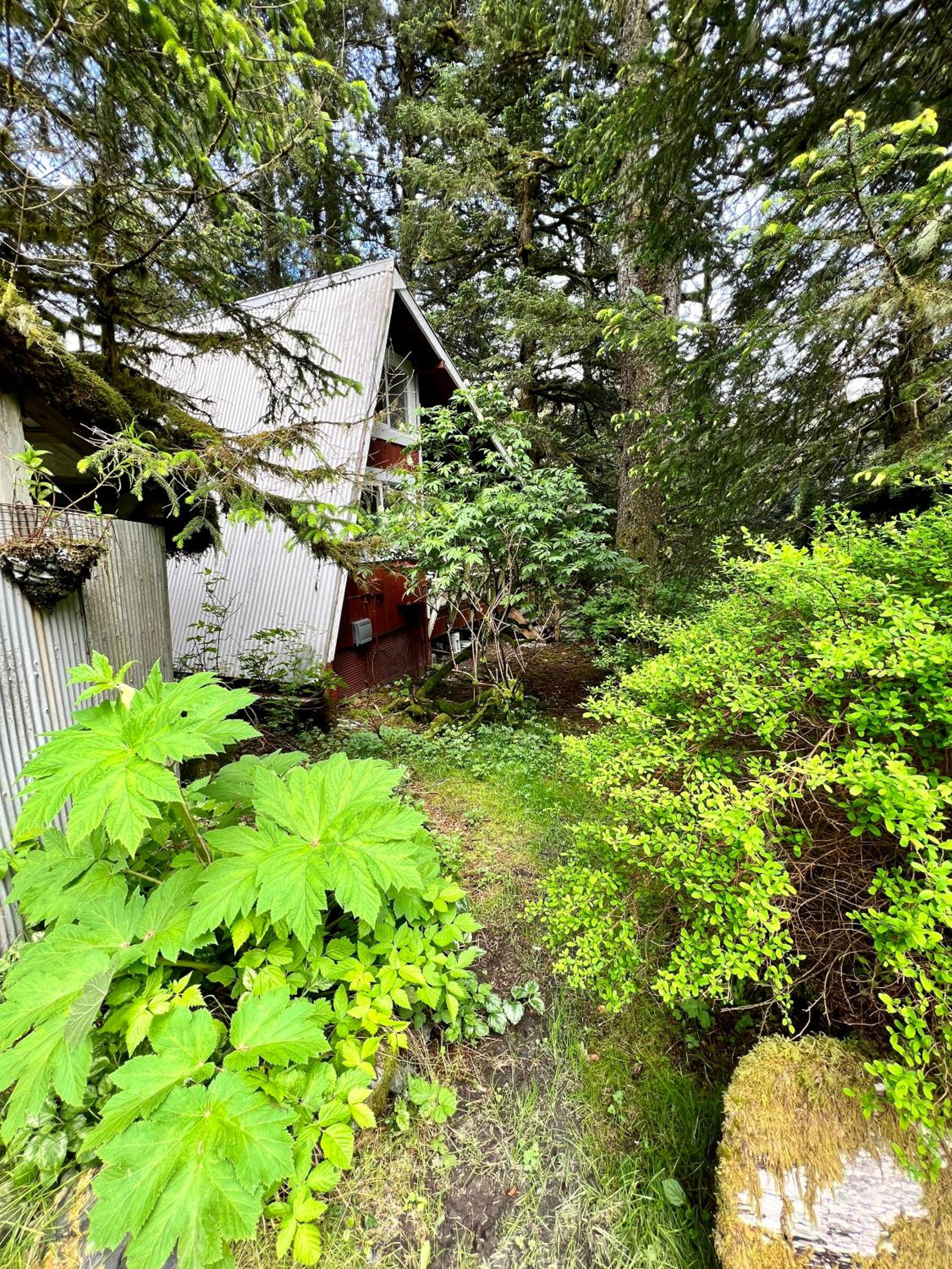 THE SHORELINE CABIN