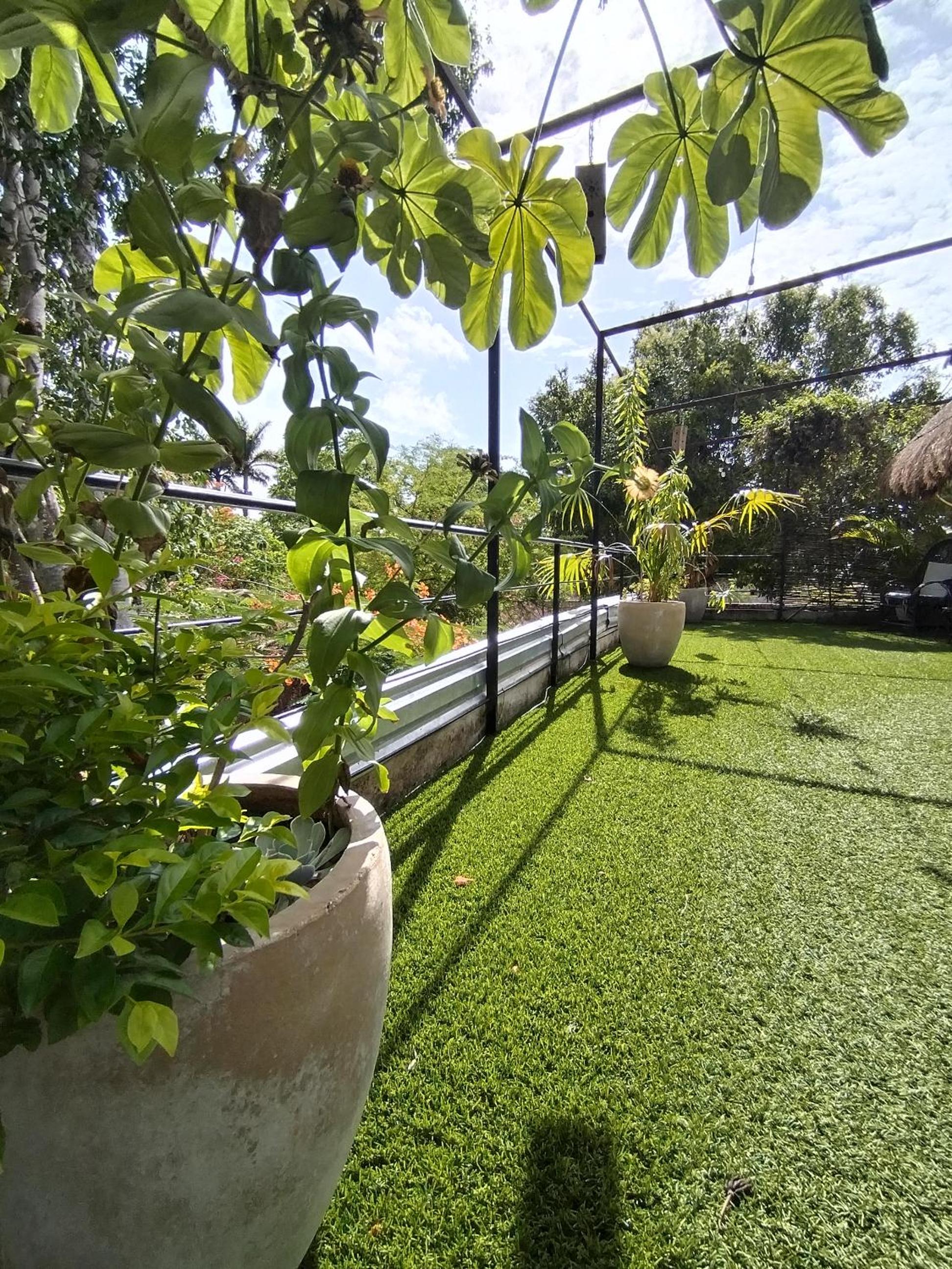 Photo 46