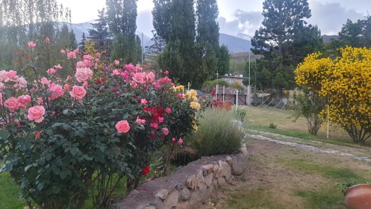 La Tardecita - Valle del Sol
