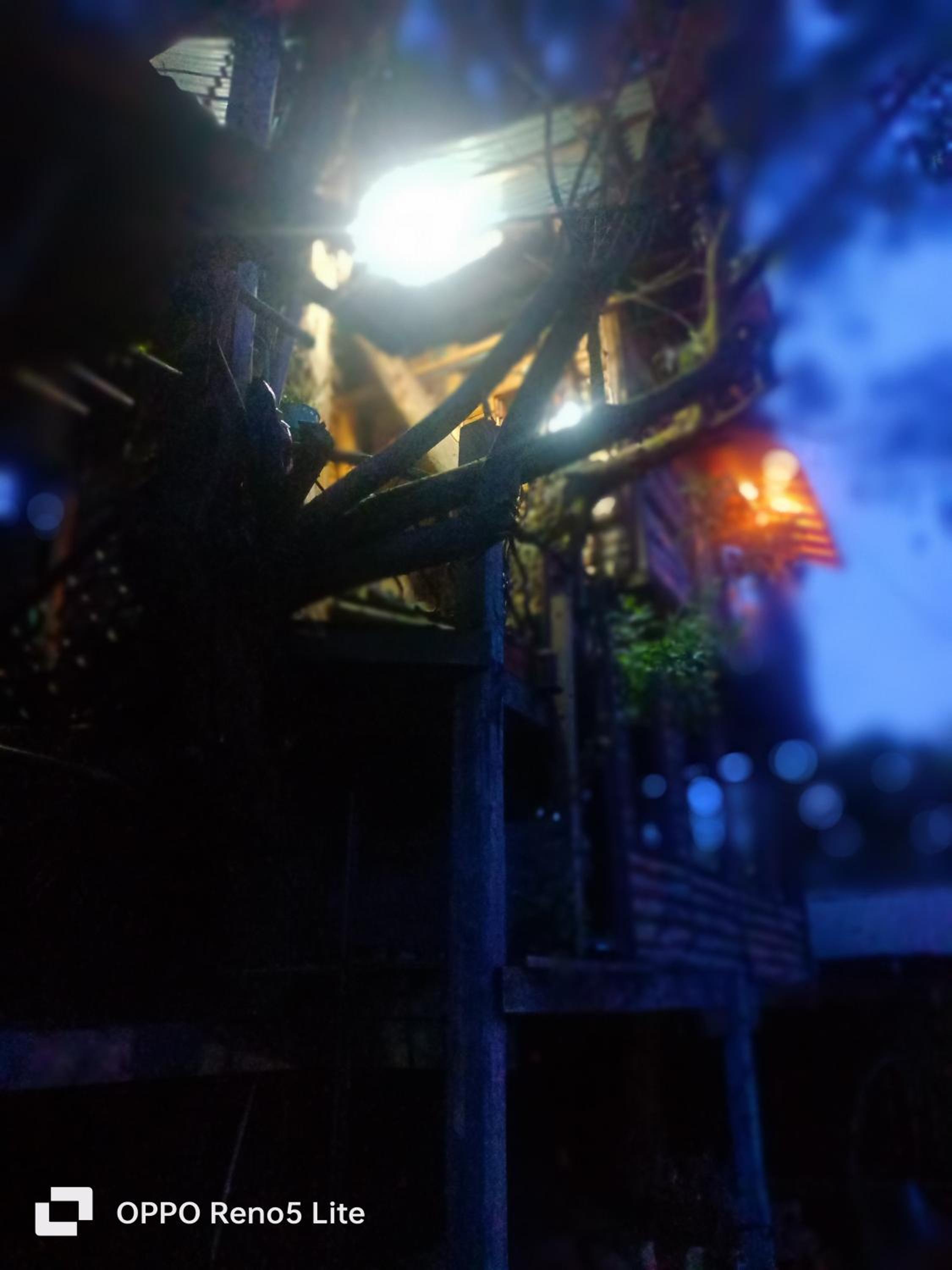 Cabaña en el arbol La Calera