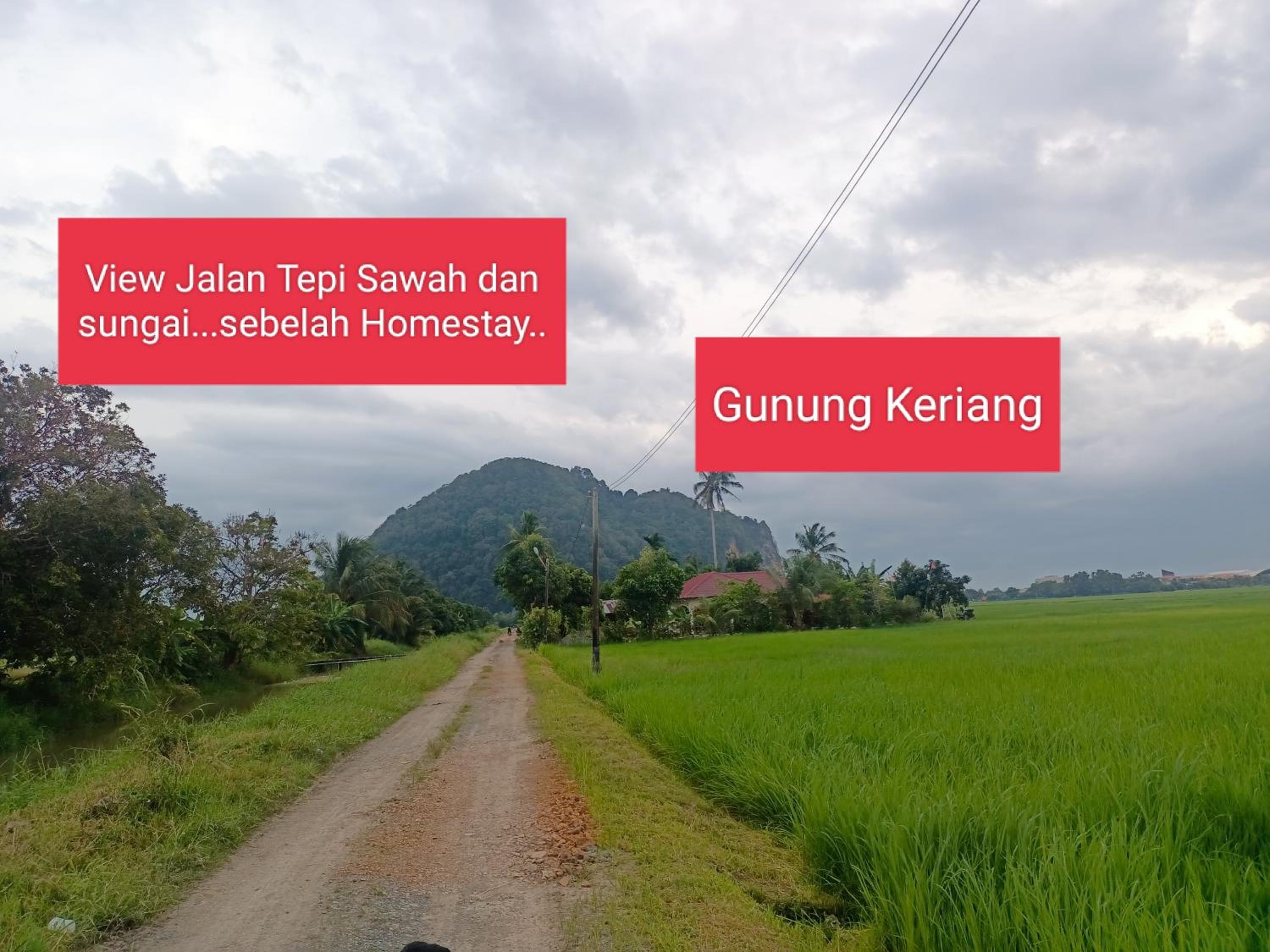 Maktok Homestay