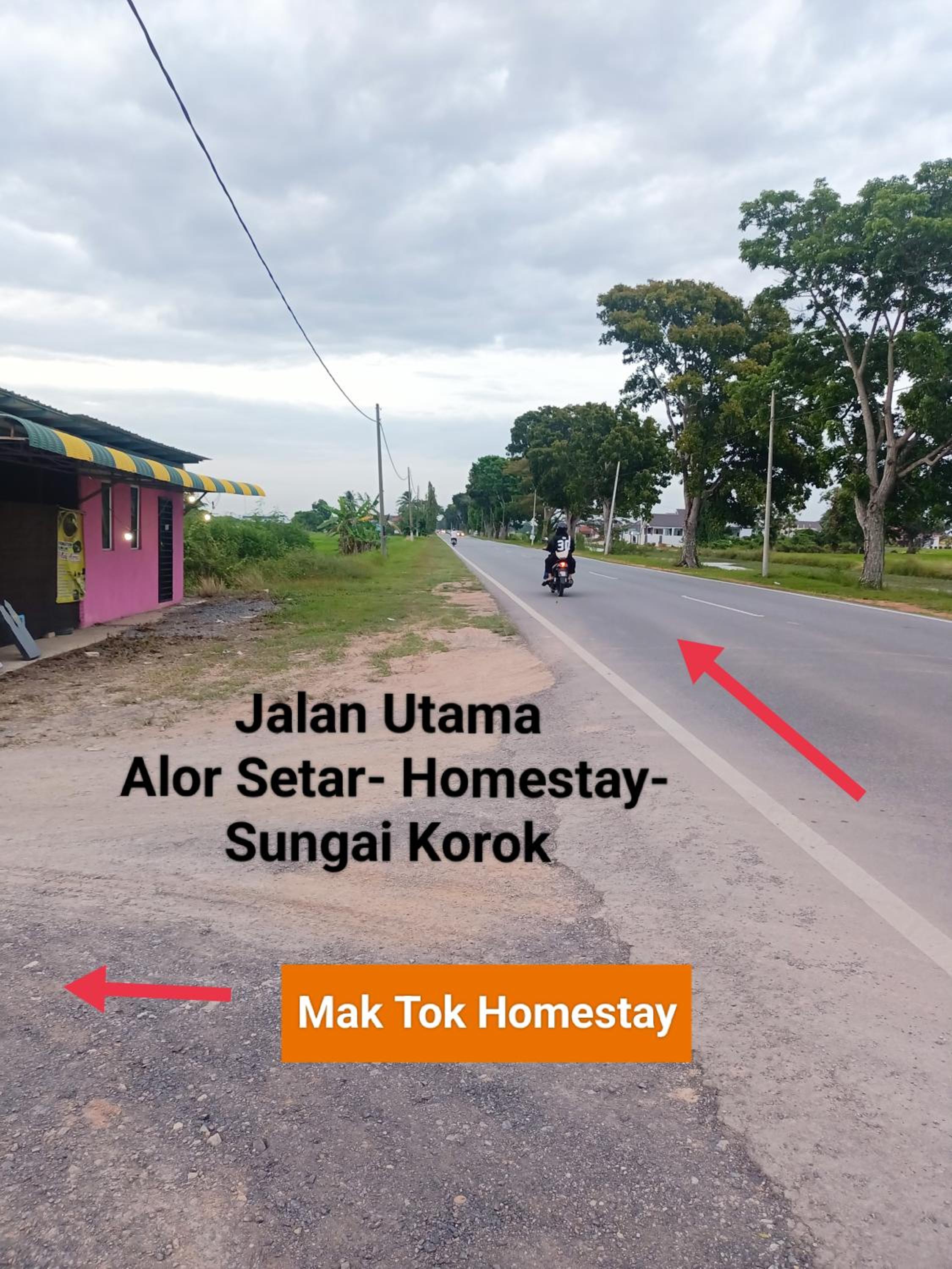 Maktok Homestay