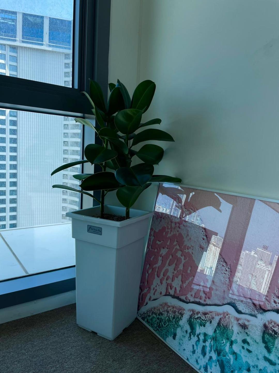 Elbon The STAY Haeundae