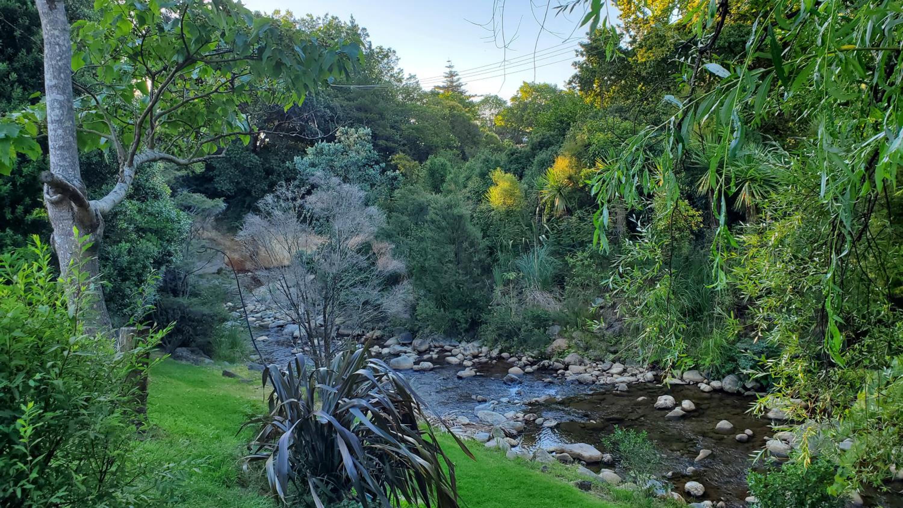 Dickson Holiday Park view 5