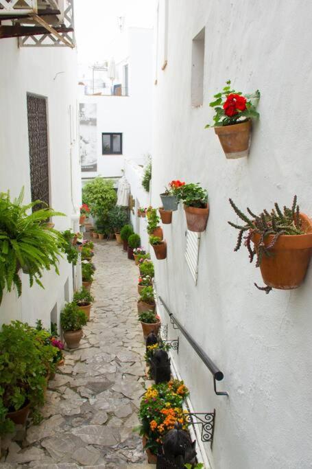 Casa Anicca