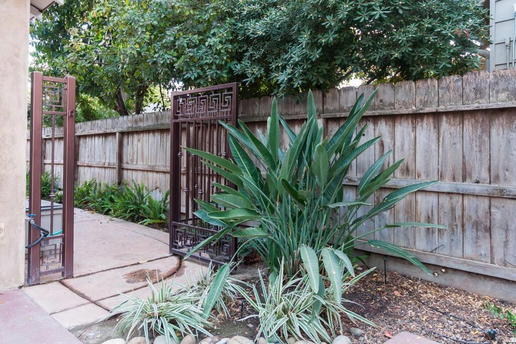 Sequoia Studio with Private Patio