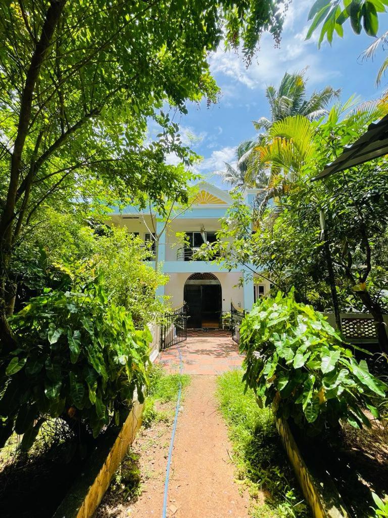 iha ayurveda resort view 3