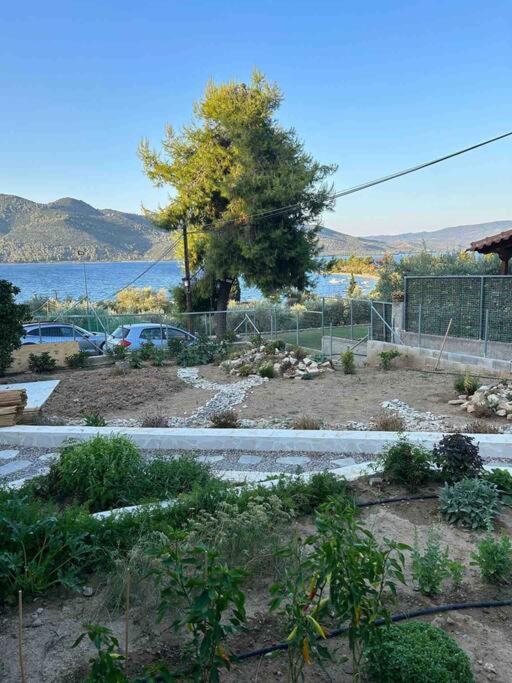 Bella Dacha cosy country house in Milos Gialtra 2 BR view 3