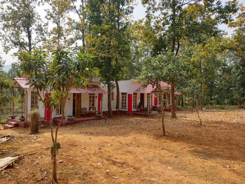Kurchi Homestay