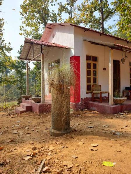 Kurchi Homestay