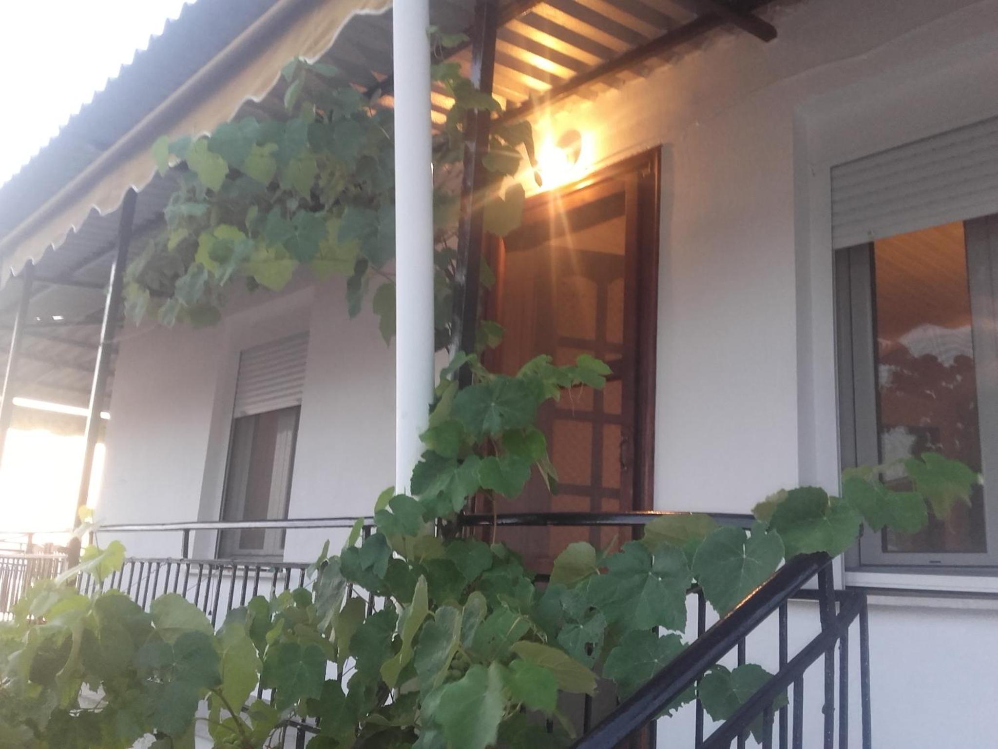 Vasilis house
