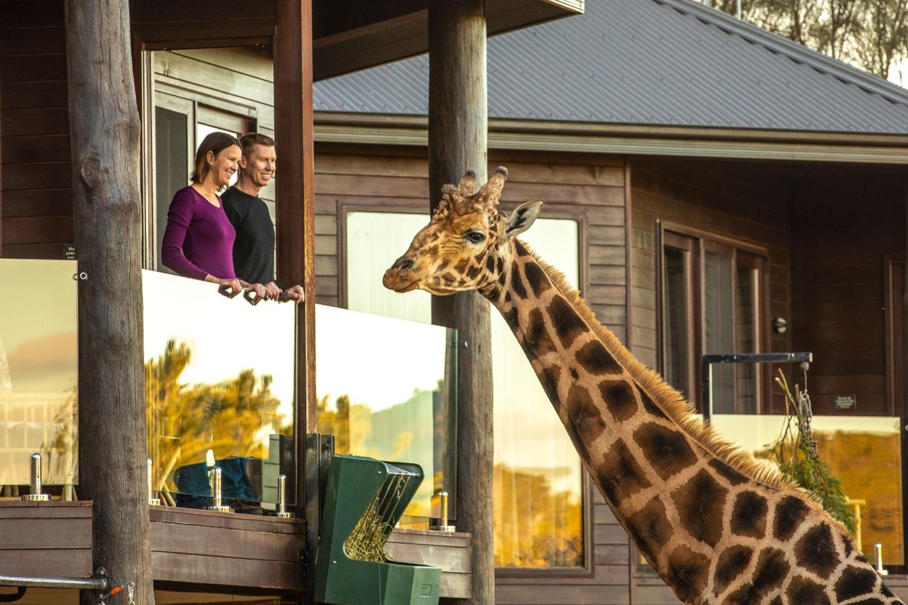 Jamala Wildlife Lodge