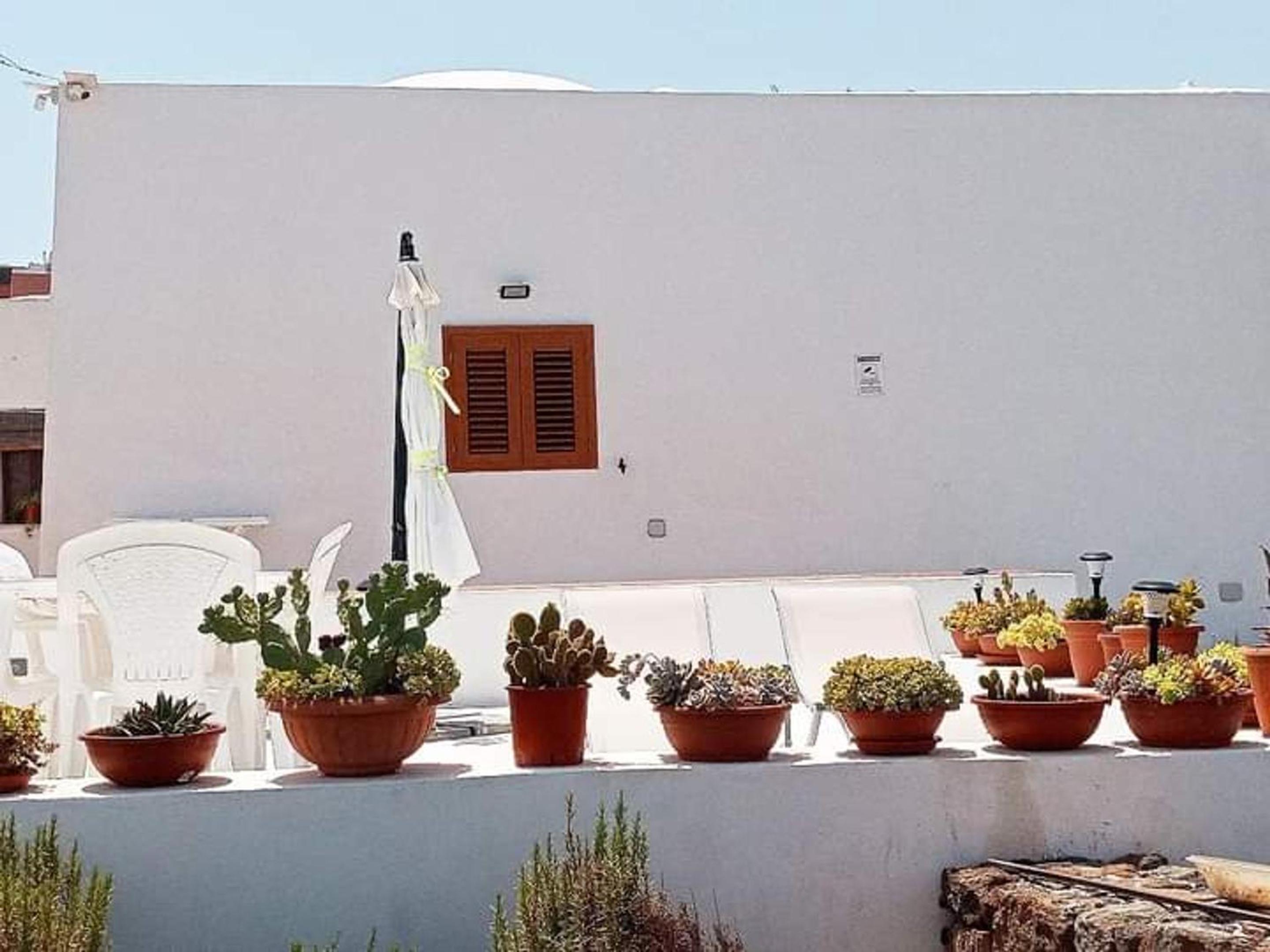 Dammuso Pantelleria - Fiori D'Ossidiana