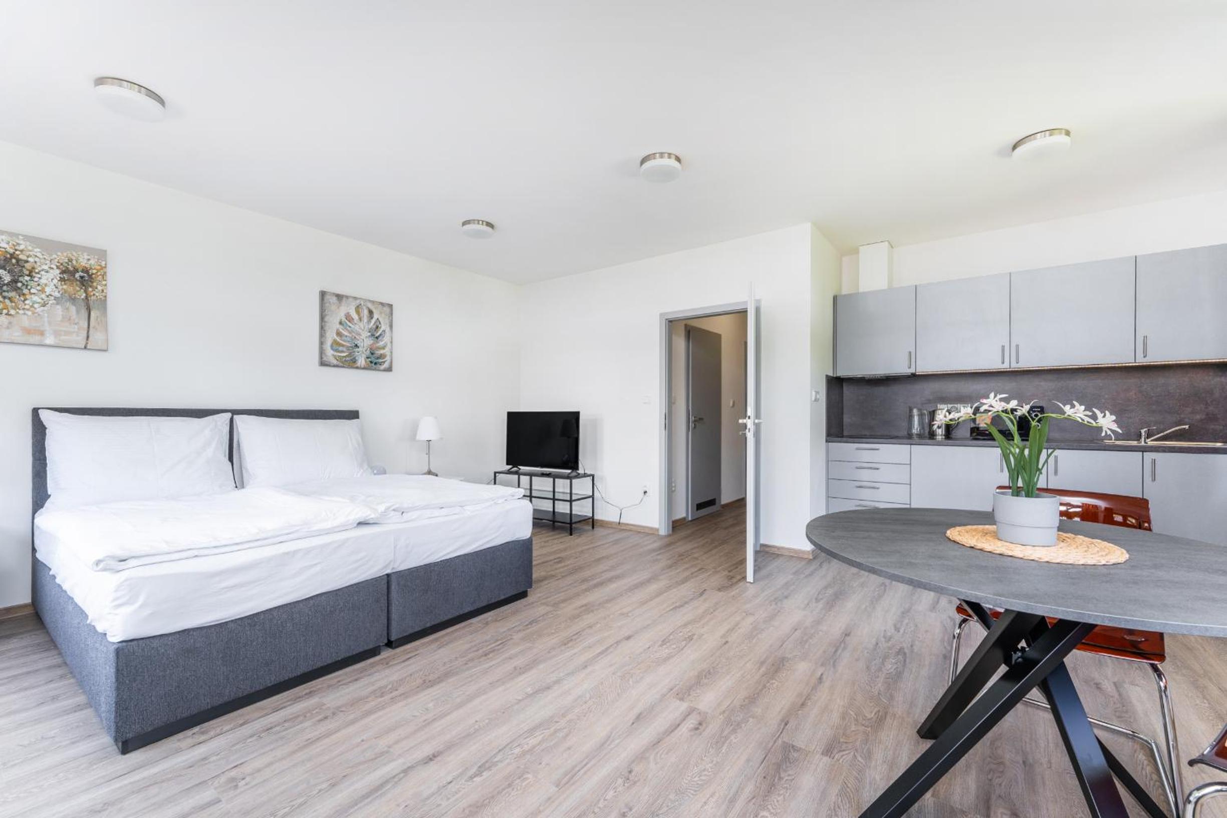 Apartmán v Poděbradech
