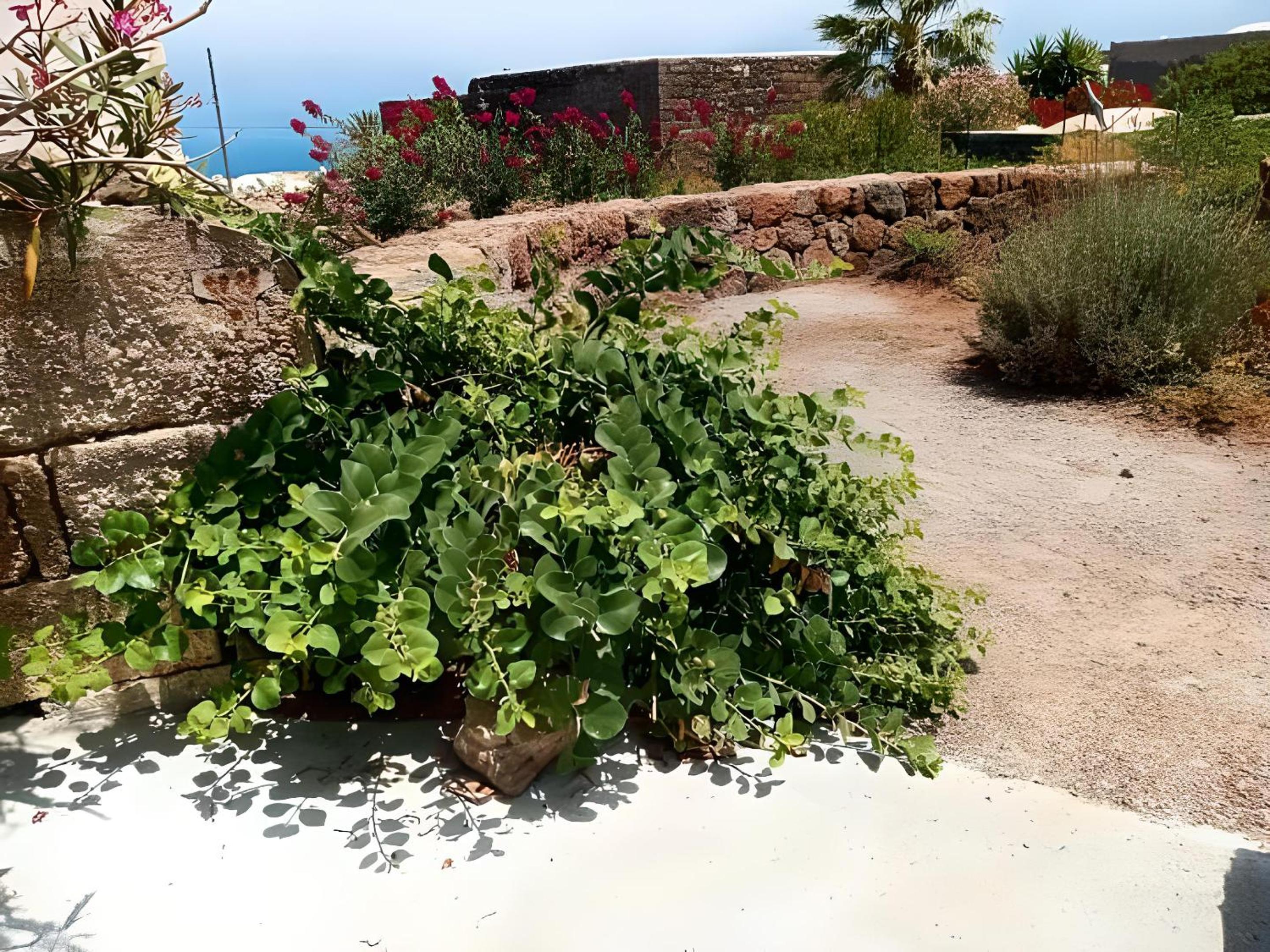Dammuso Pantelleria - Fiori D'Ossidiana