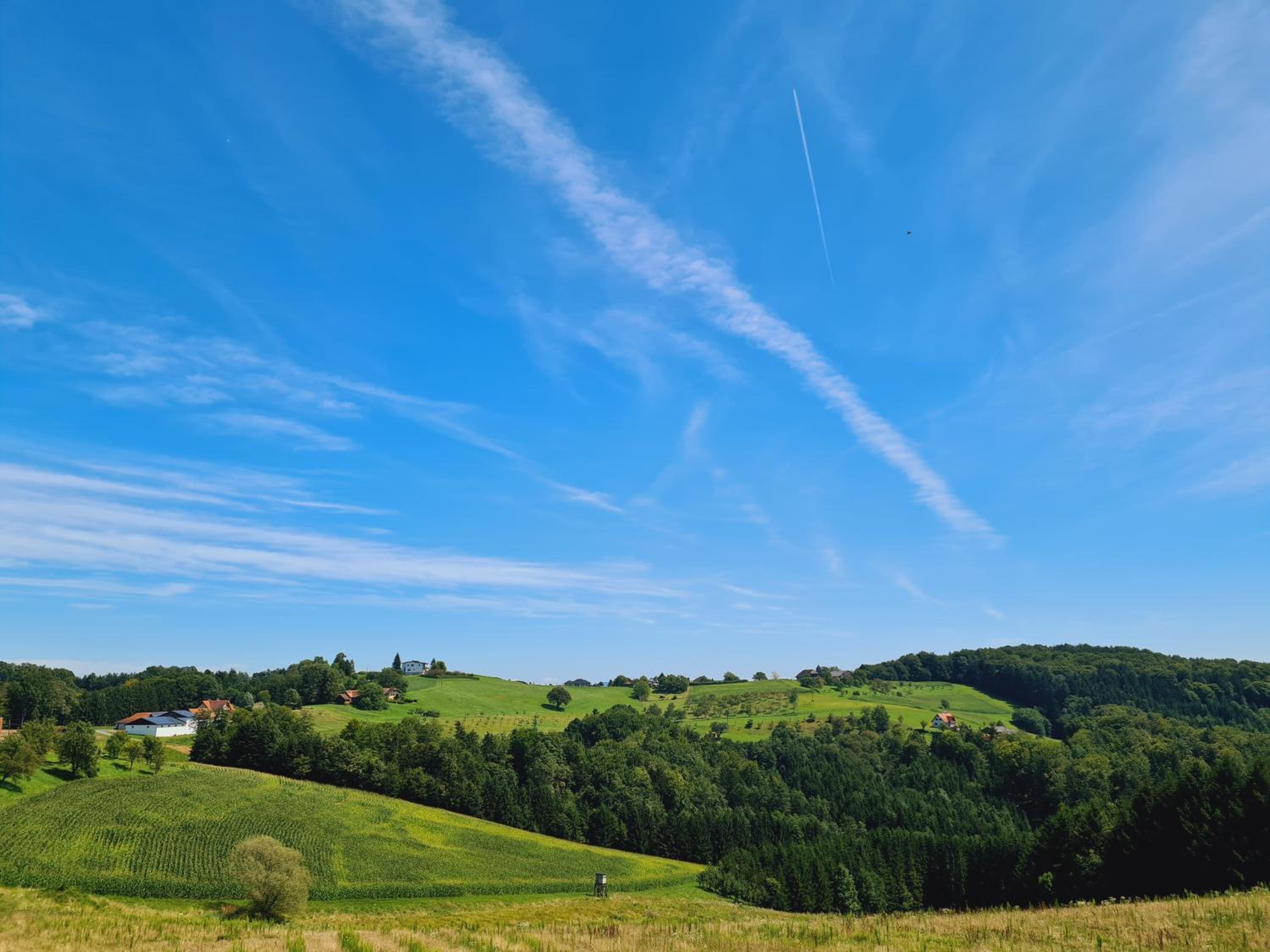 G5 - Das Chalet am Waldrand
