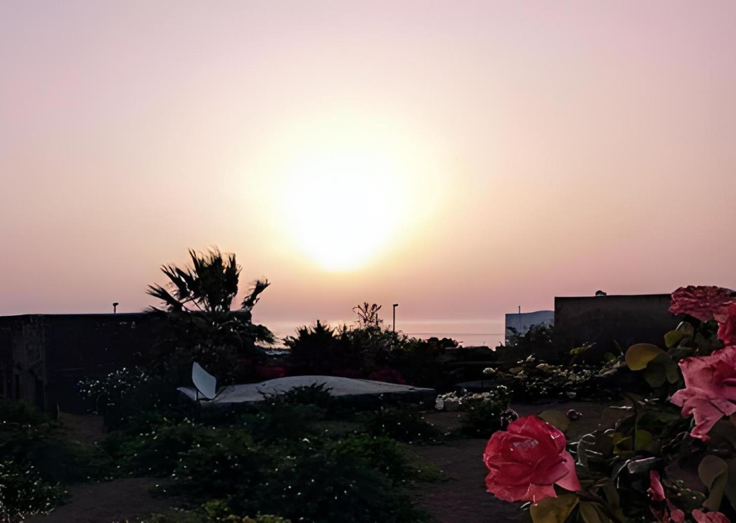 Dammuso Pantelleria - Fiori D'Ossidiana