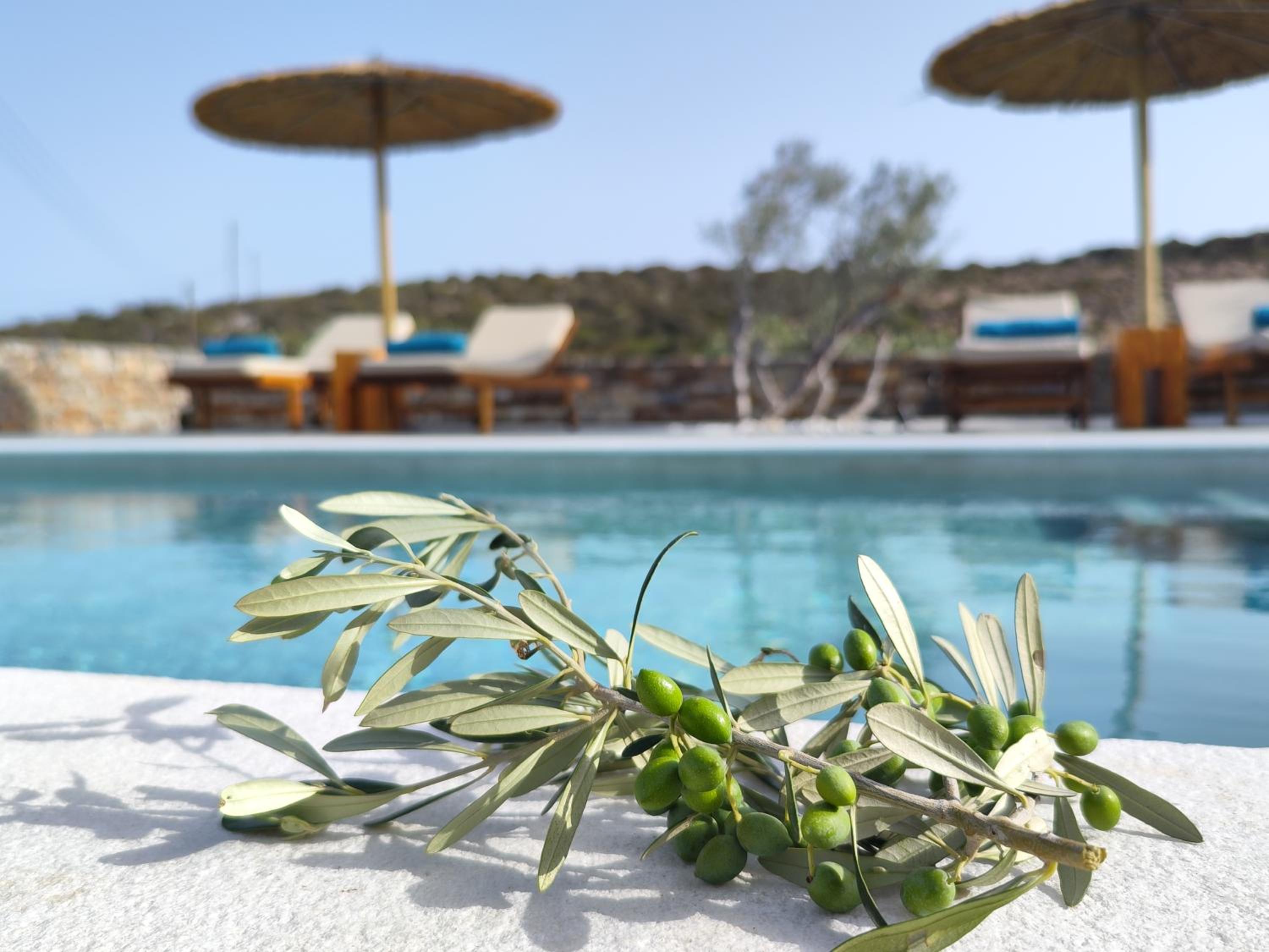Ktima Elea Antiparos