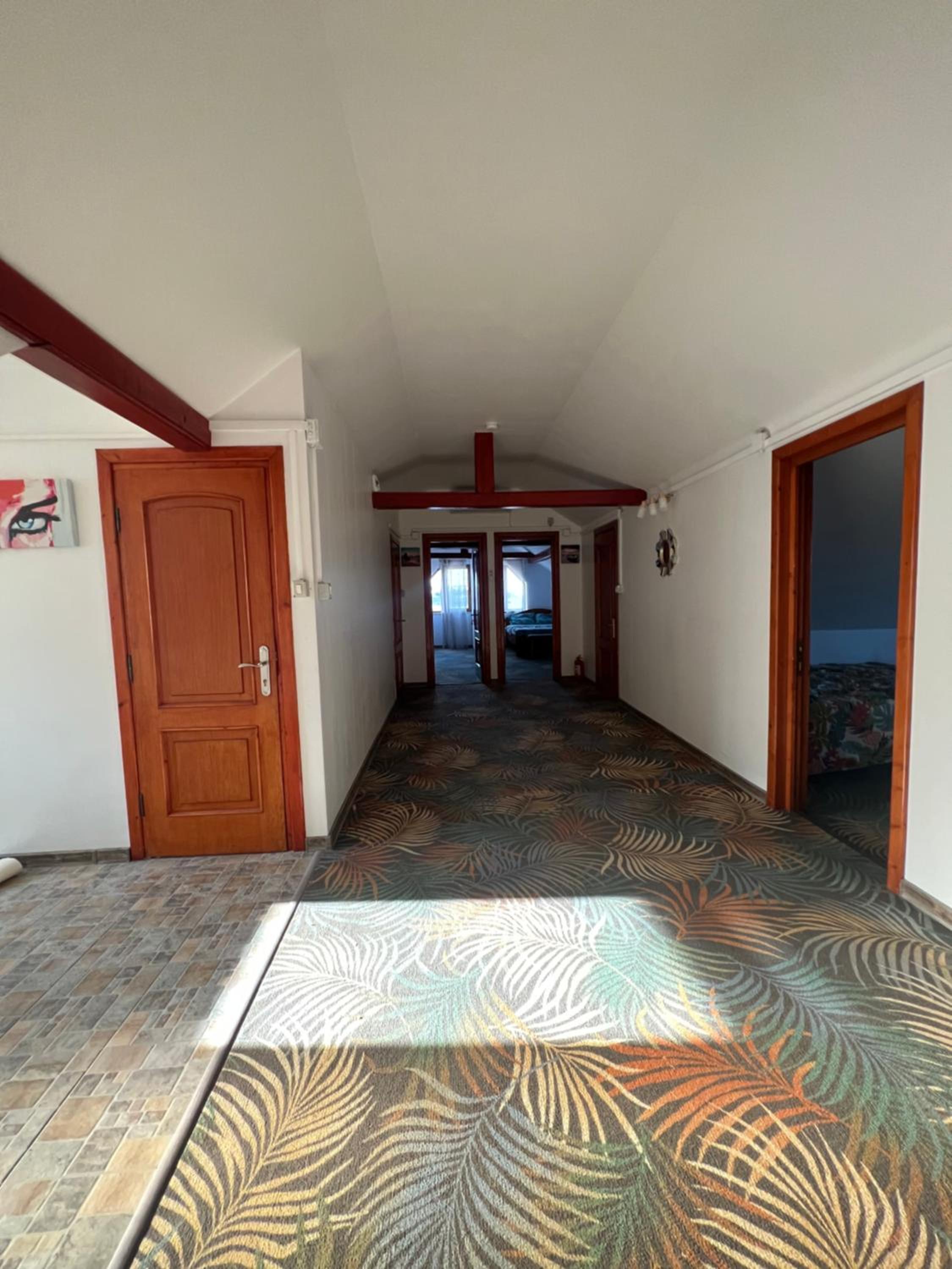 Casa Yachi Vama Veche
