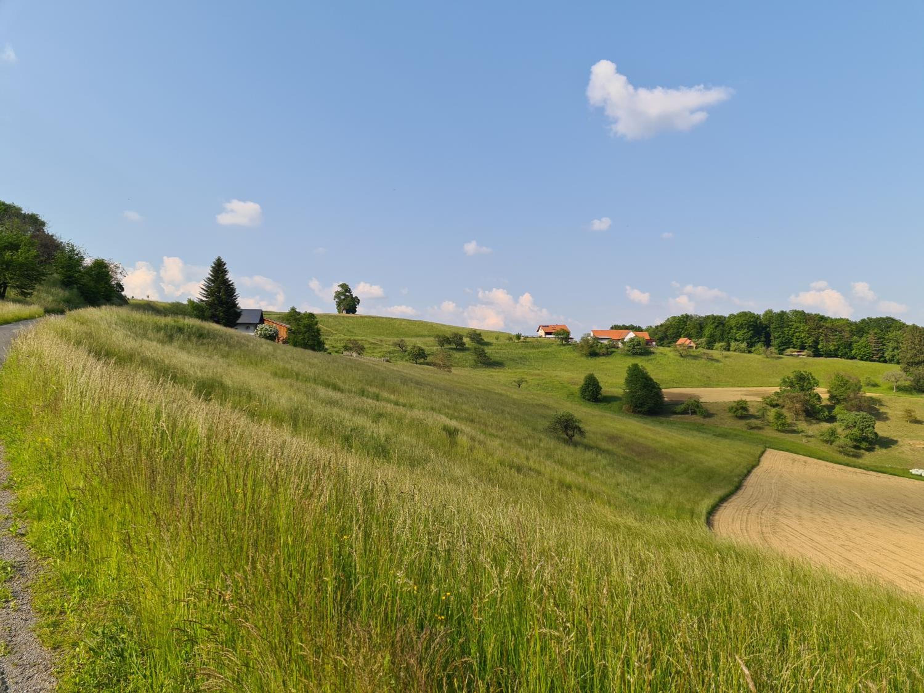 G5 - Das Chalet am Waldrand