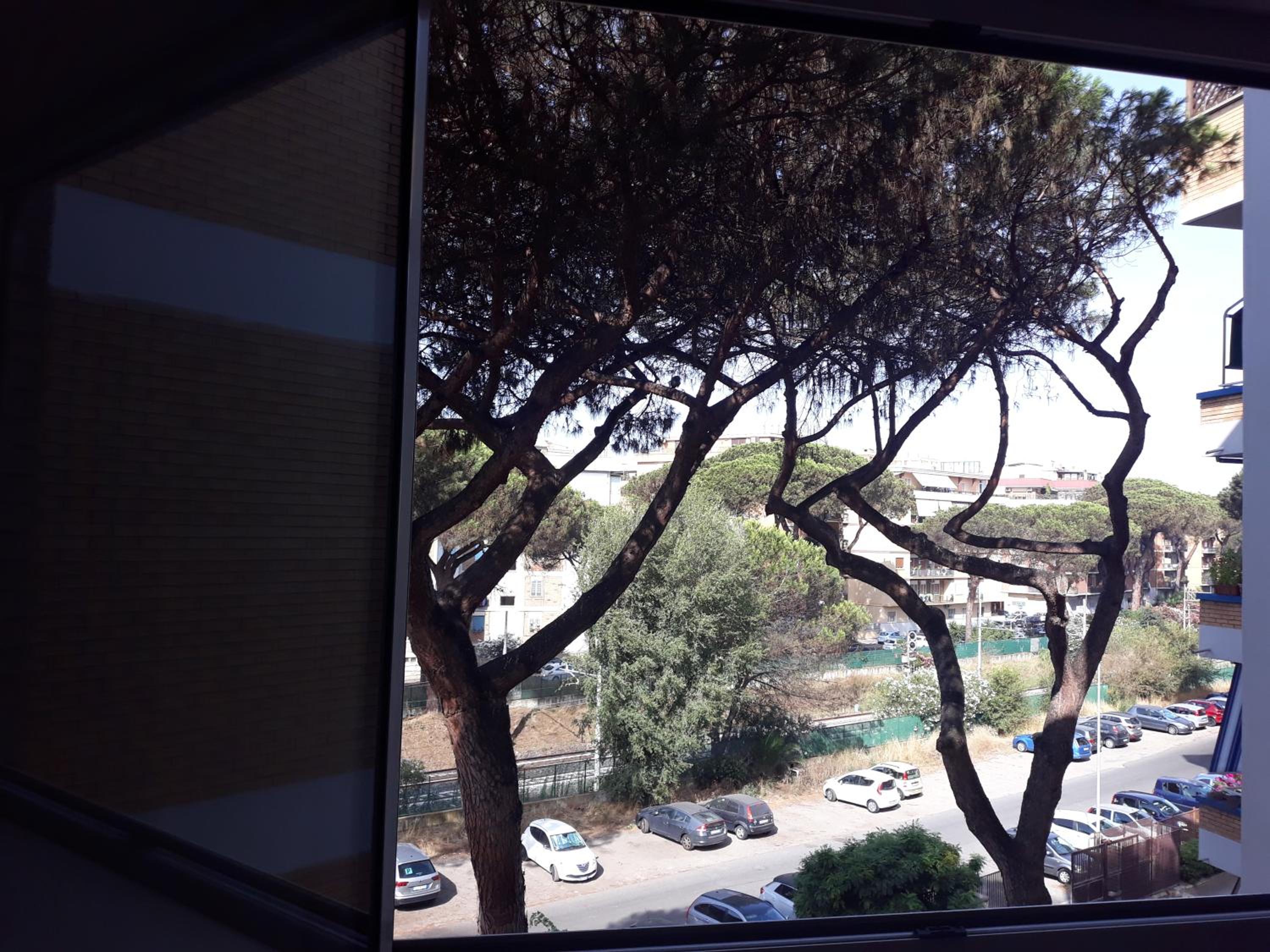 Casa VerdeMare photo 4