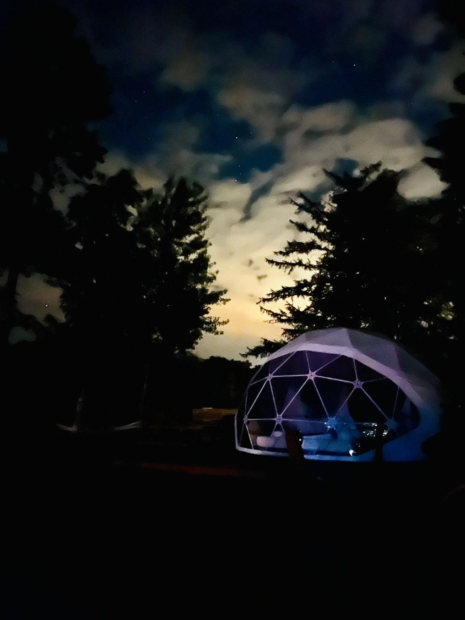 Friesland Glamping Camp Schortens