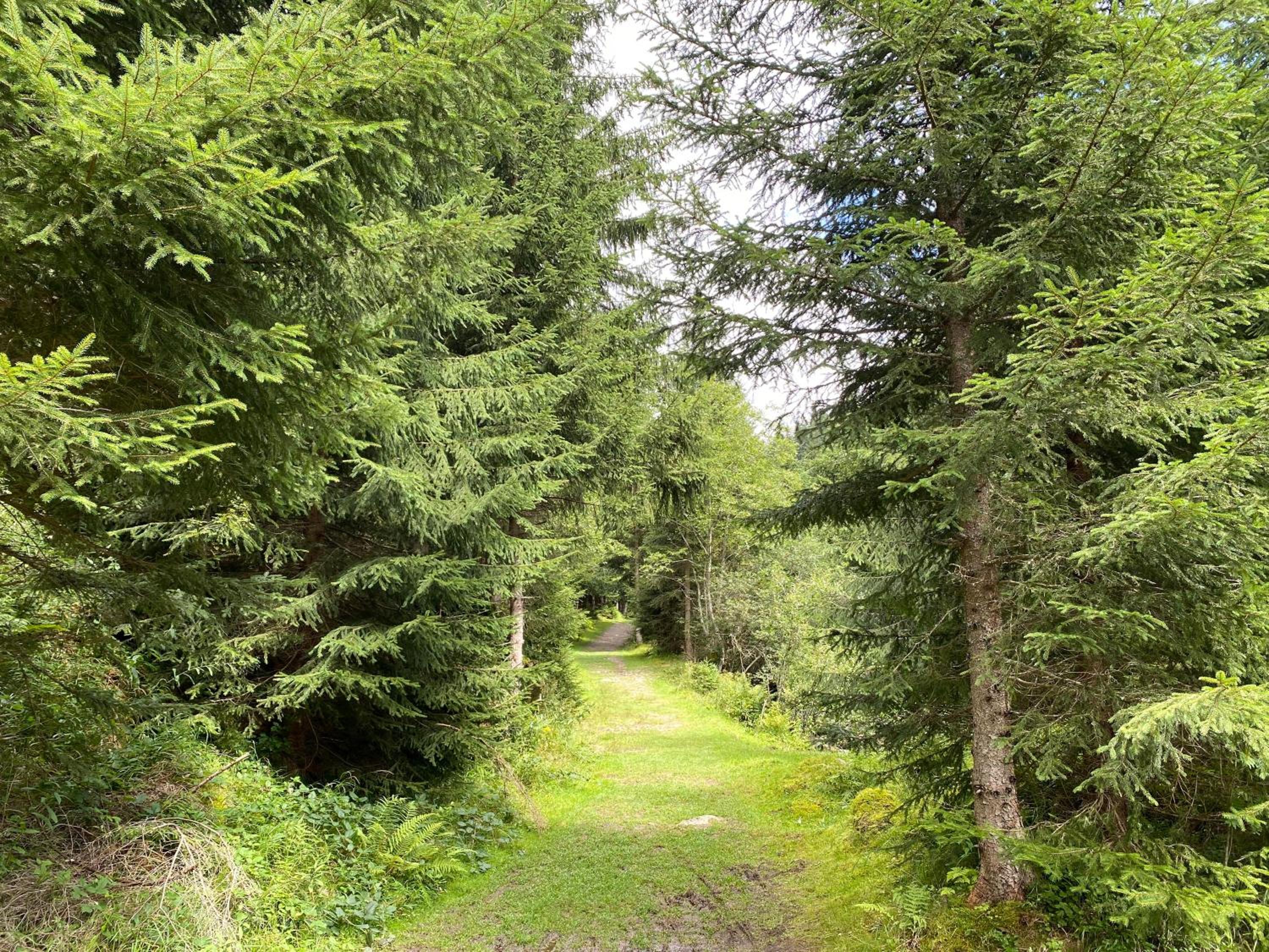 Ferienhaus Fischerhütte Rassis Feriendorf Donnersbachwald