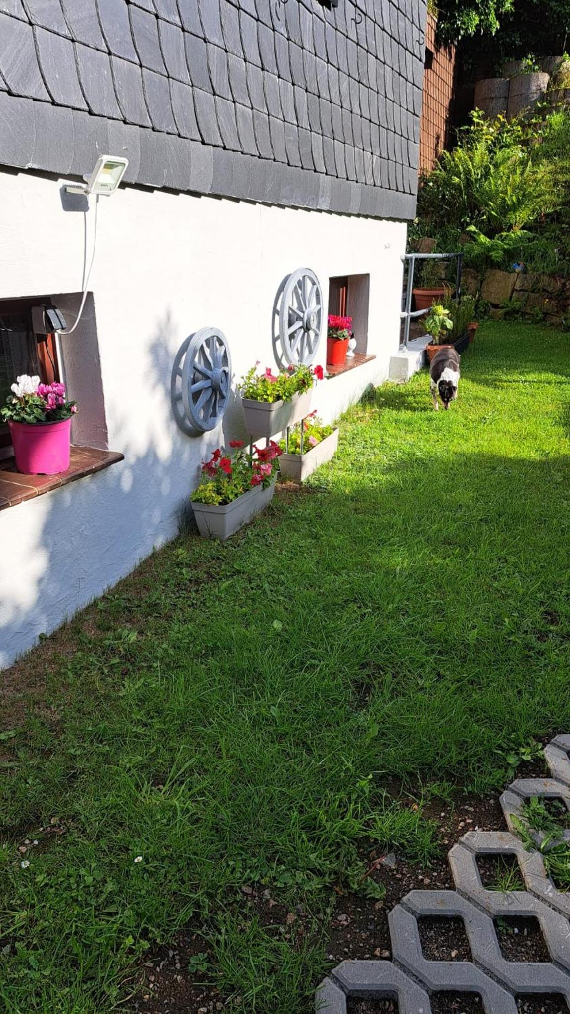 Ferienwohnung Friedrichsruh
