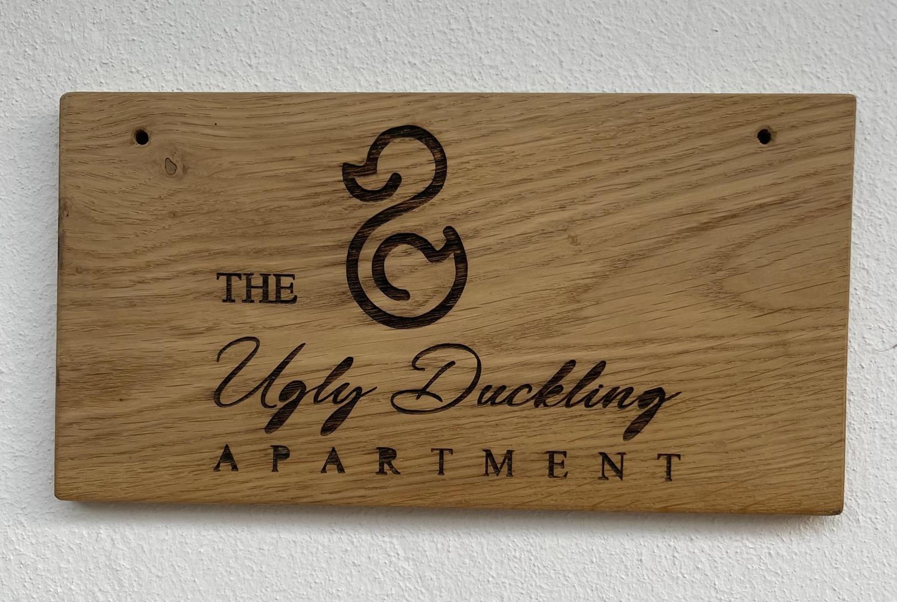 The ugly duckling apartment