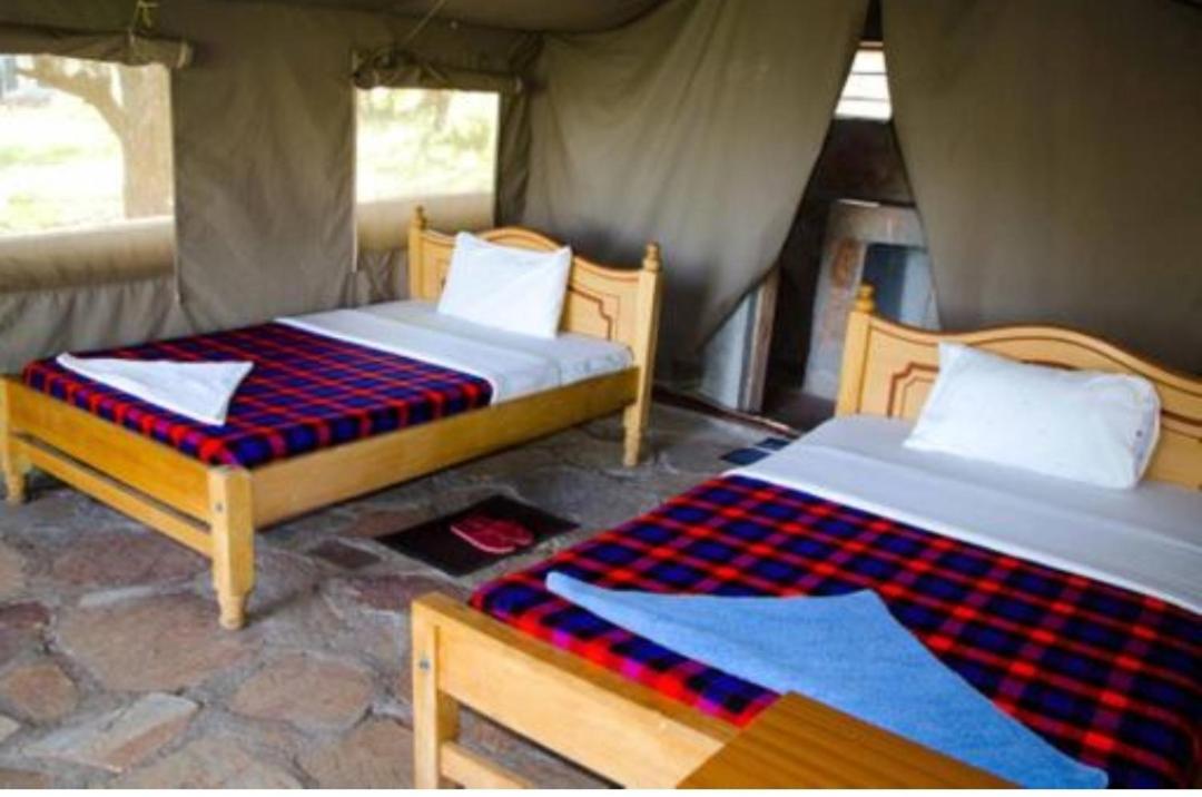 buffalo wild camp view 5