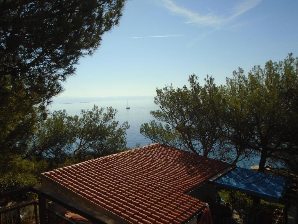 Pineta