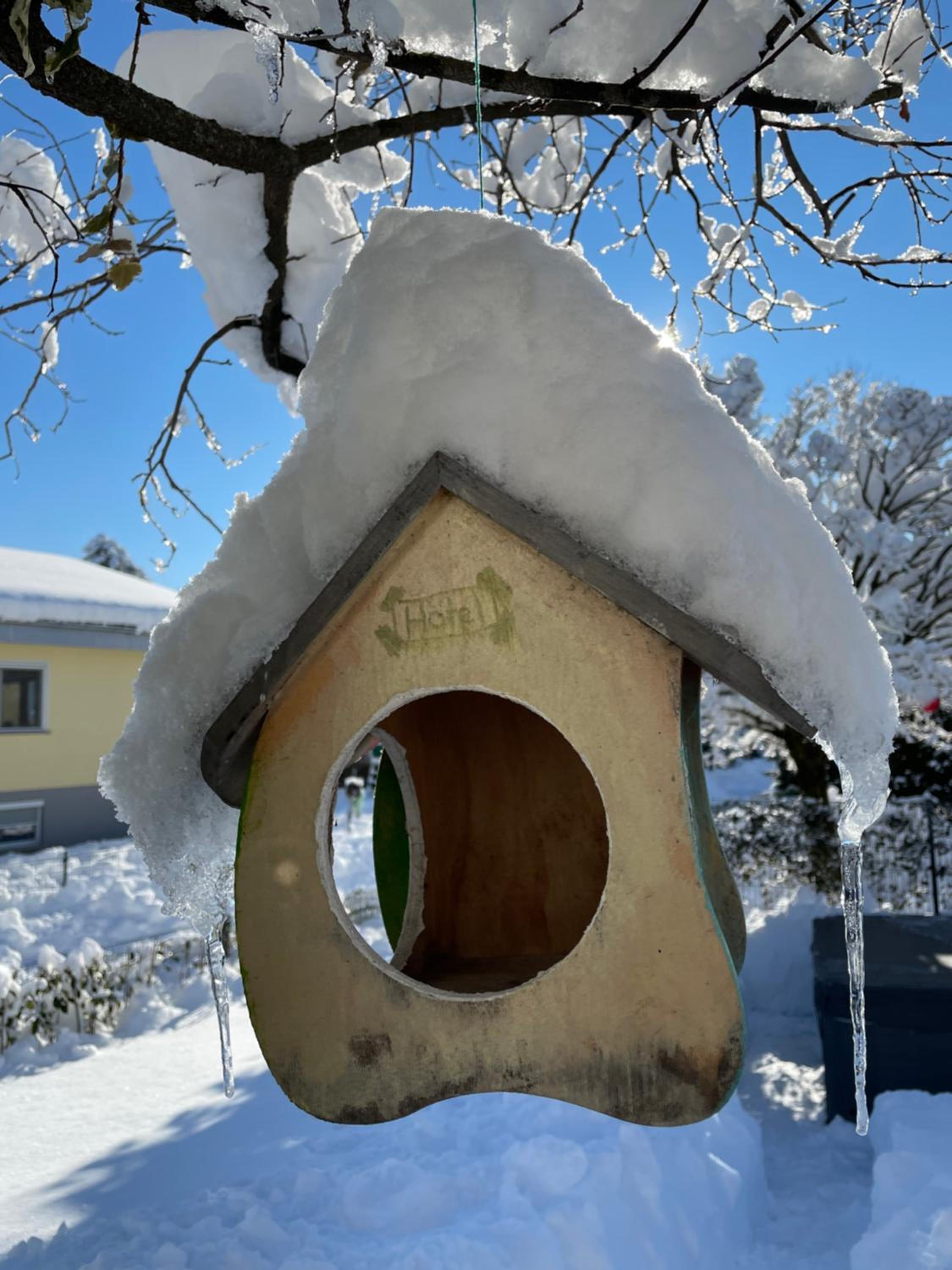 Negrelli Appartement