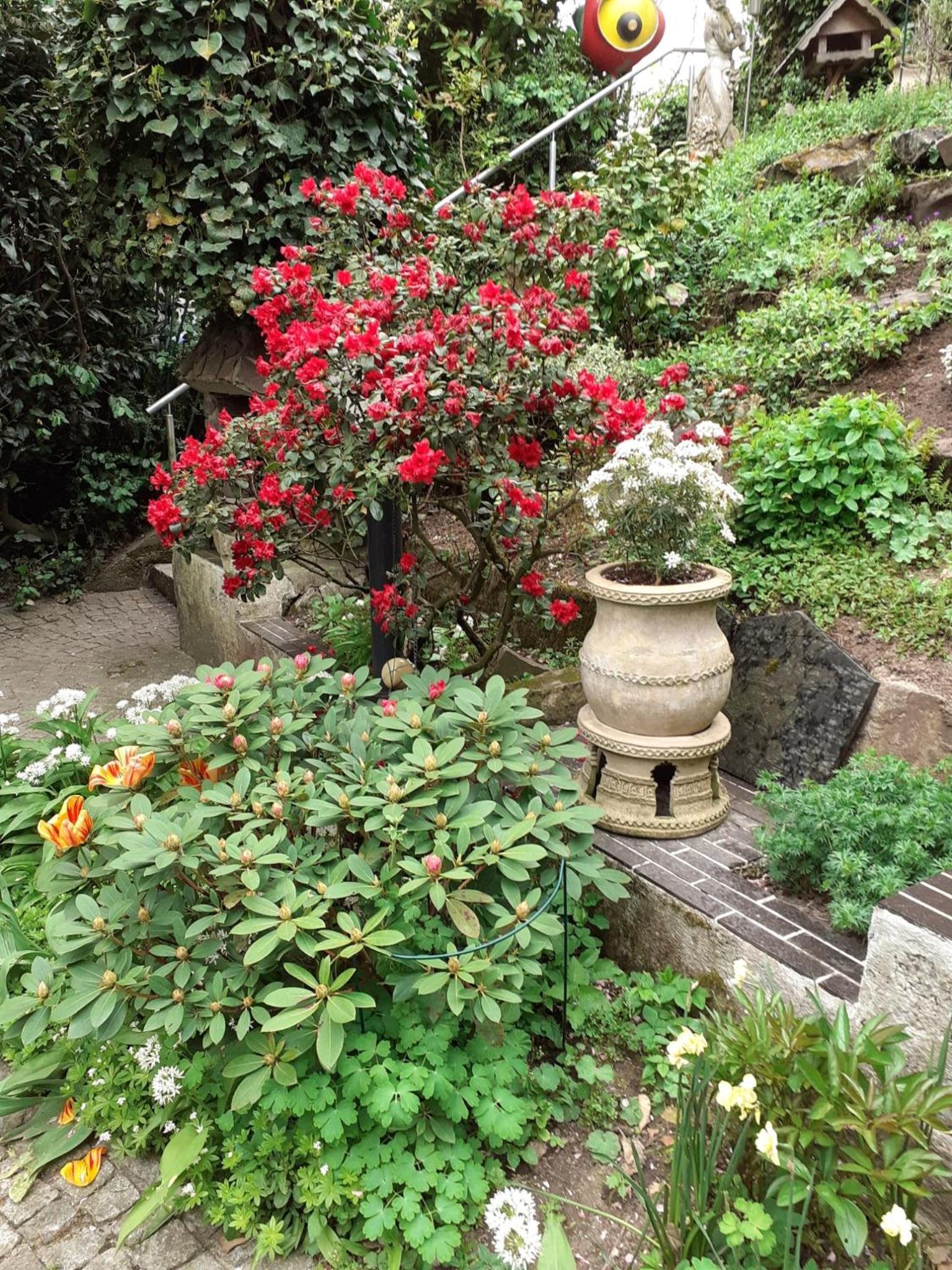 Photo 27
