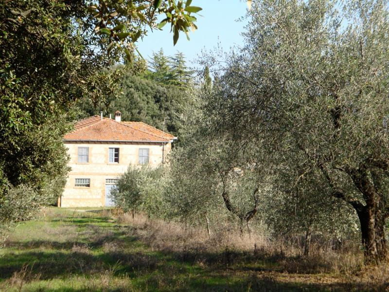 Palazzo Di Piero