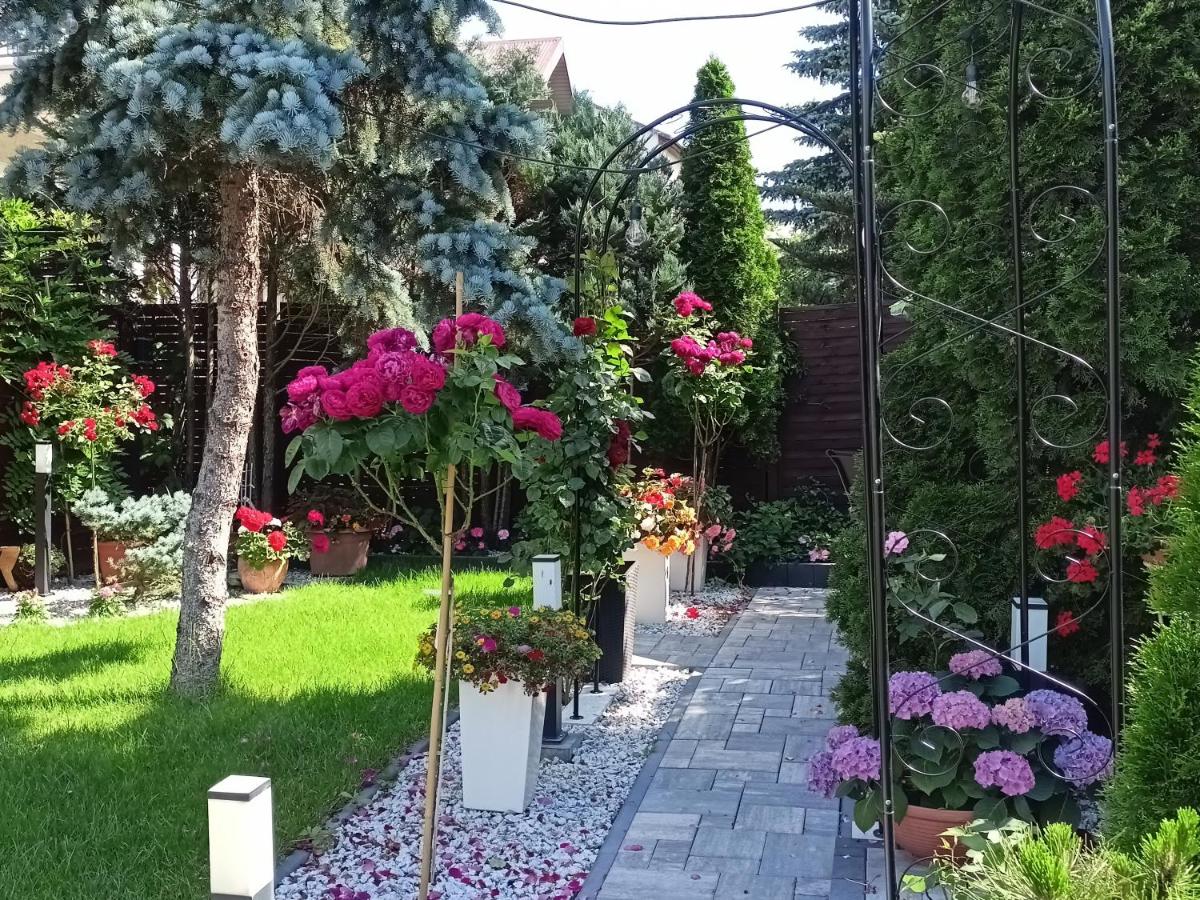 Photo 56