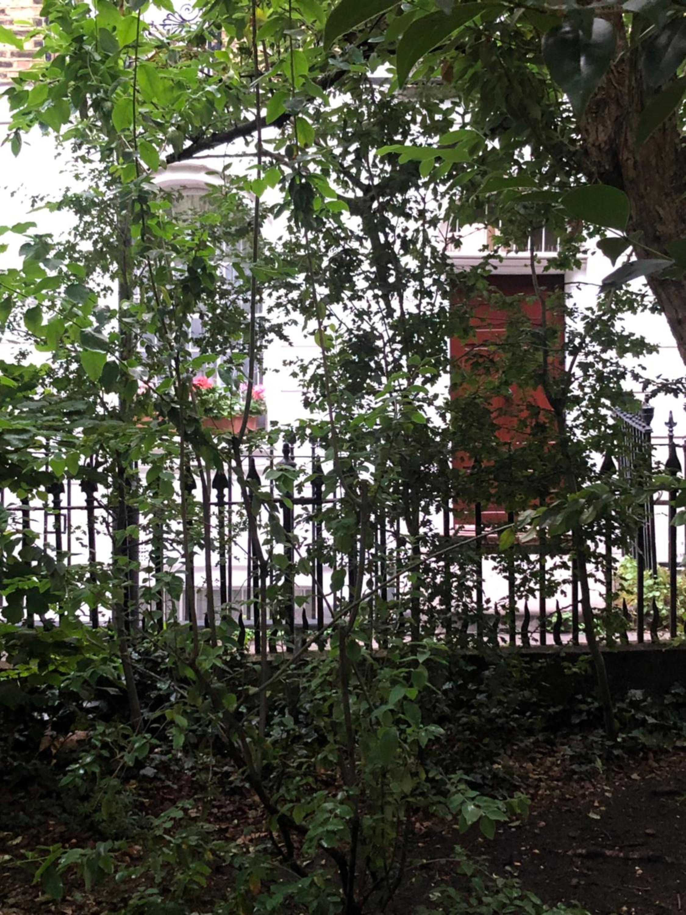 Gorgeous Grade II Listed Georgian House - Leafy Square Views - Central London