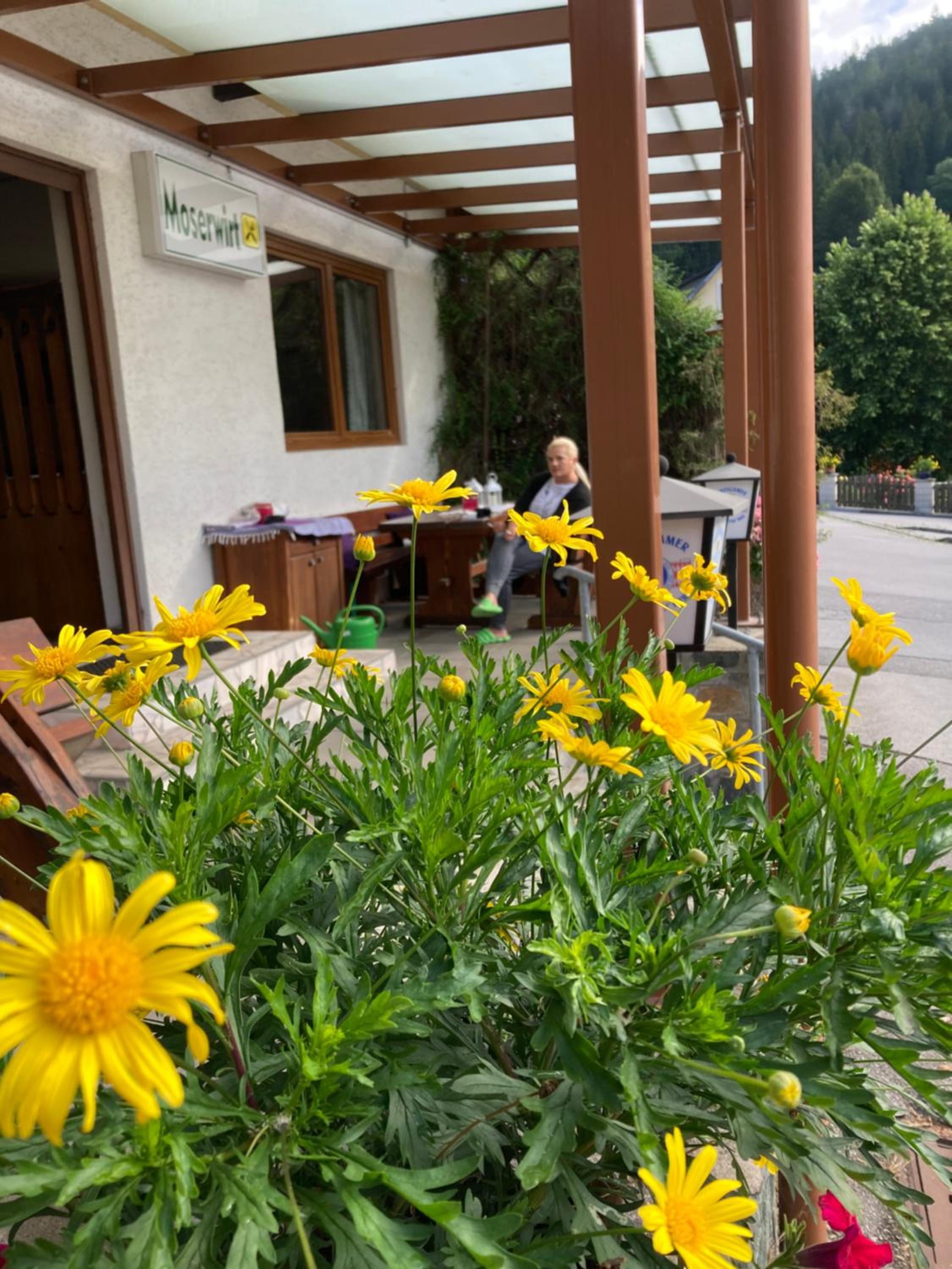 Moserwirt Pension