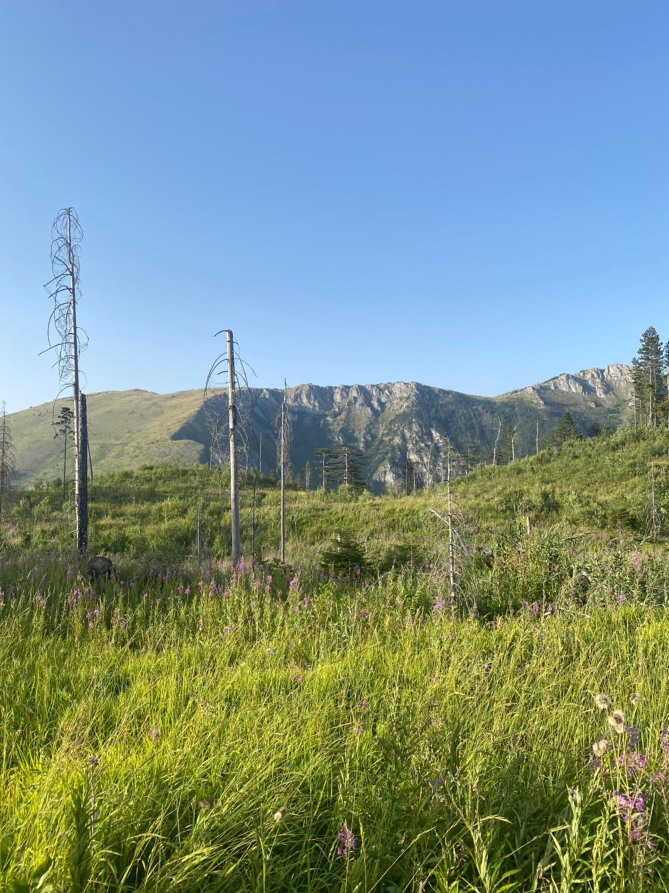 Photo 20