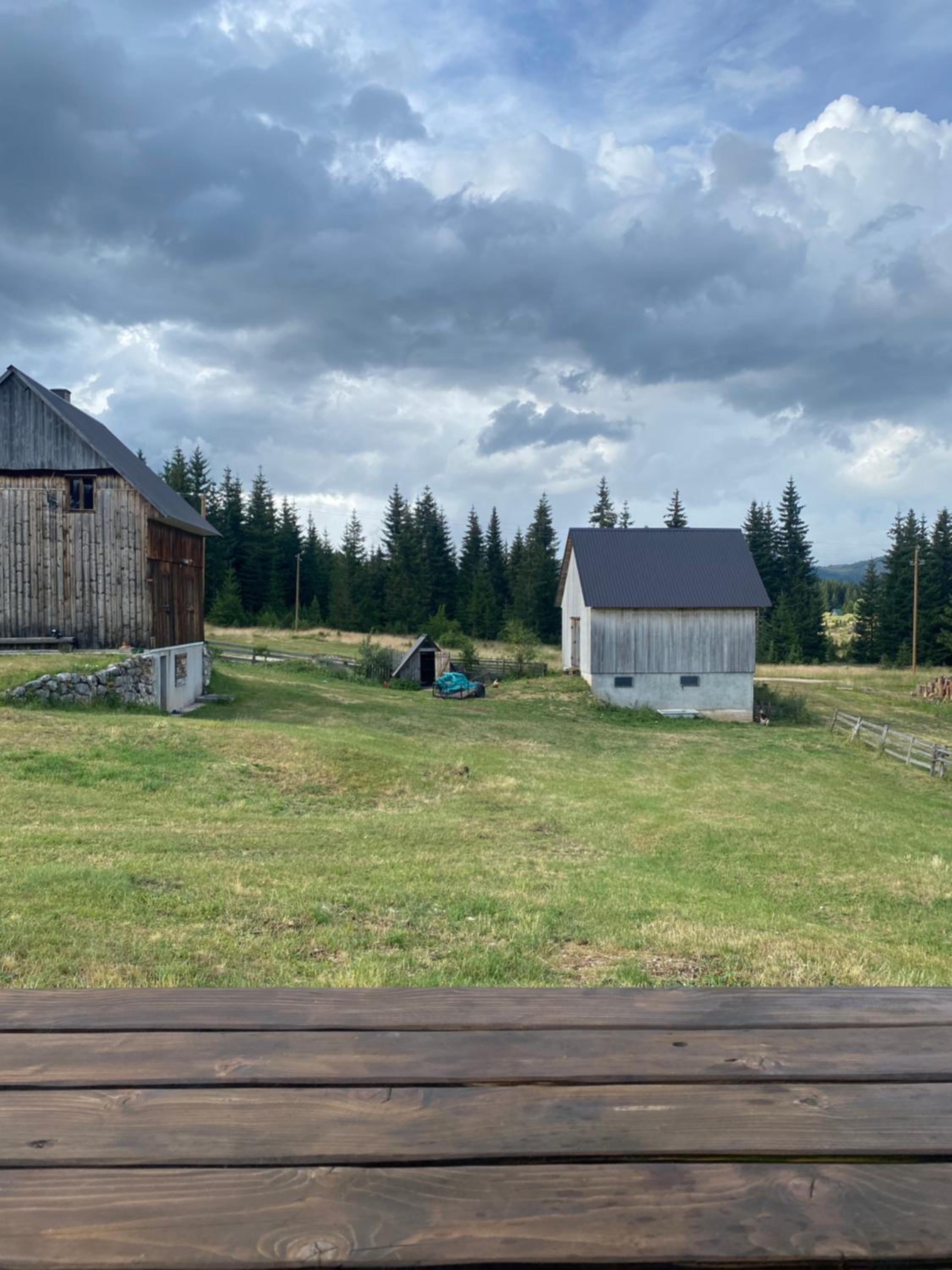 Photo 19