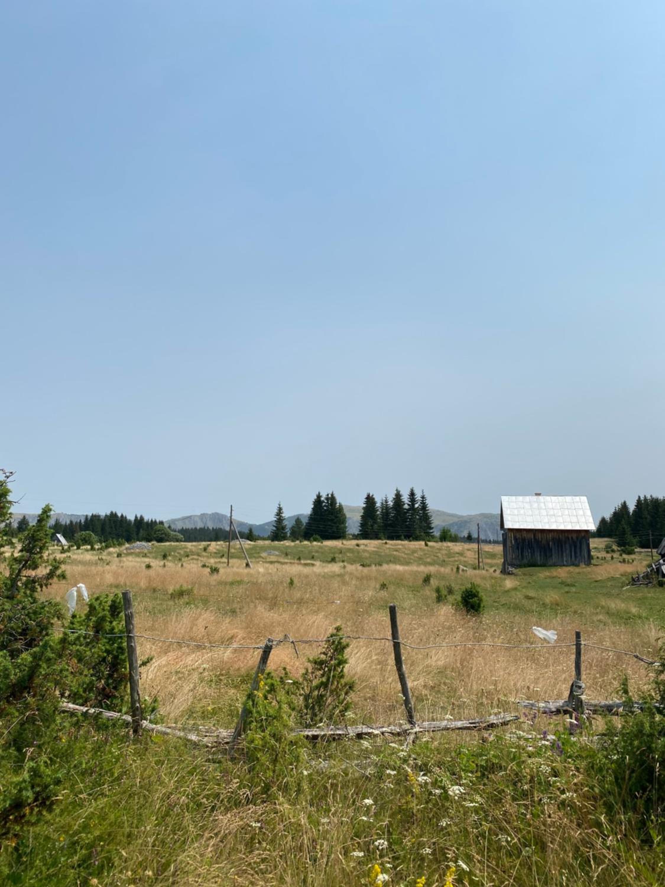 Photo 26