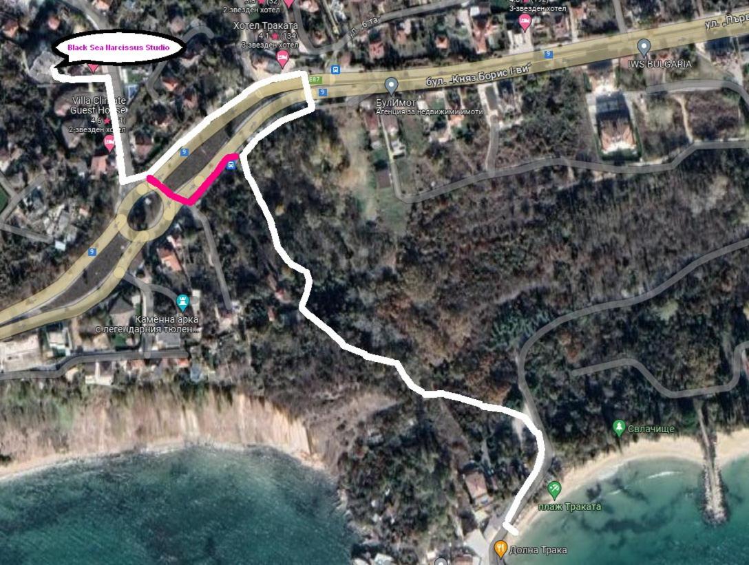 Black sea Narcissus - quiet studio with amazing sea view
