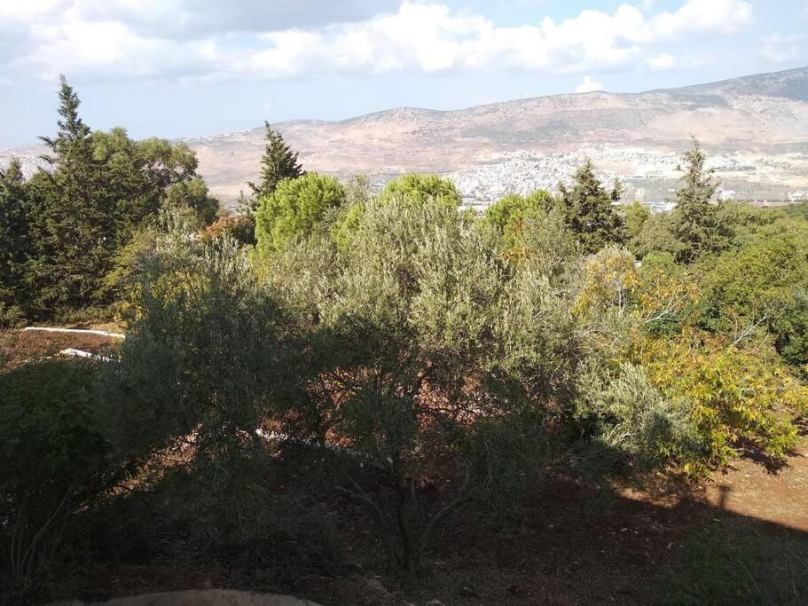 הבית ליד הבוסתן view 5