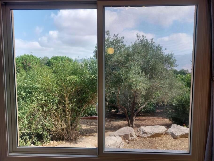 הבית ליד הבוסתן view 2