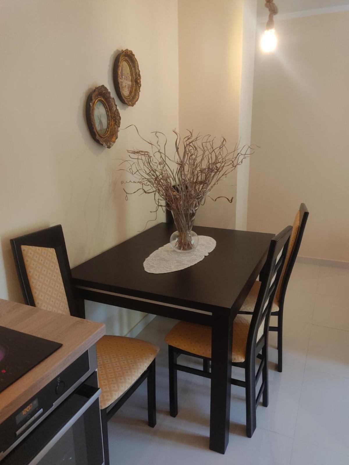 Apartman Rijeka Crnojevica view 4