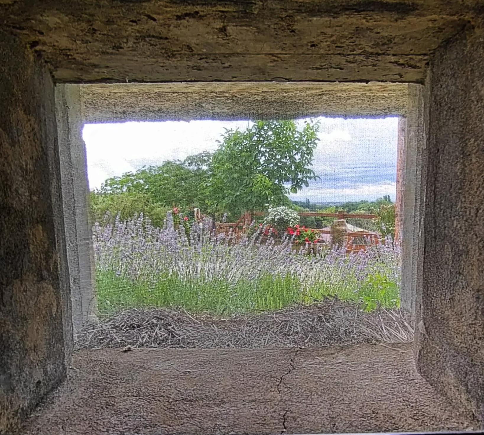 Au Bunker 67