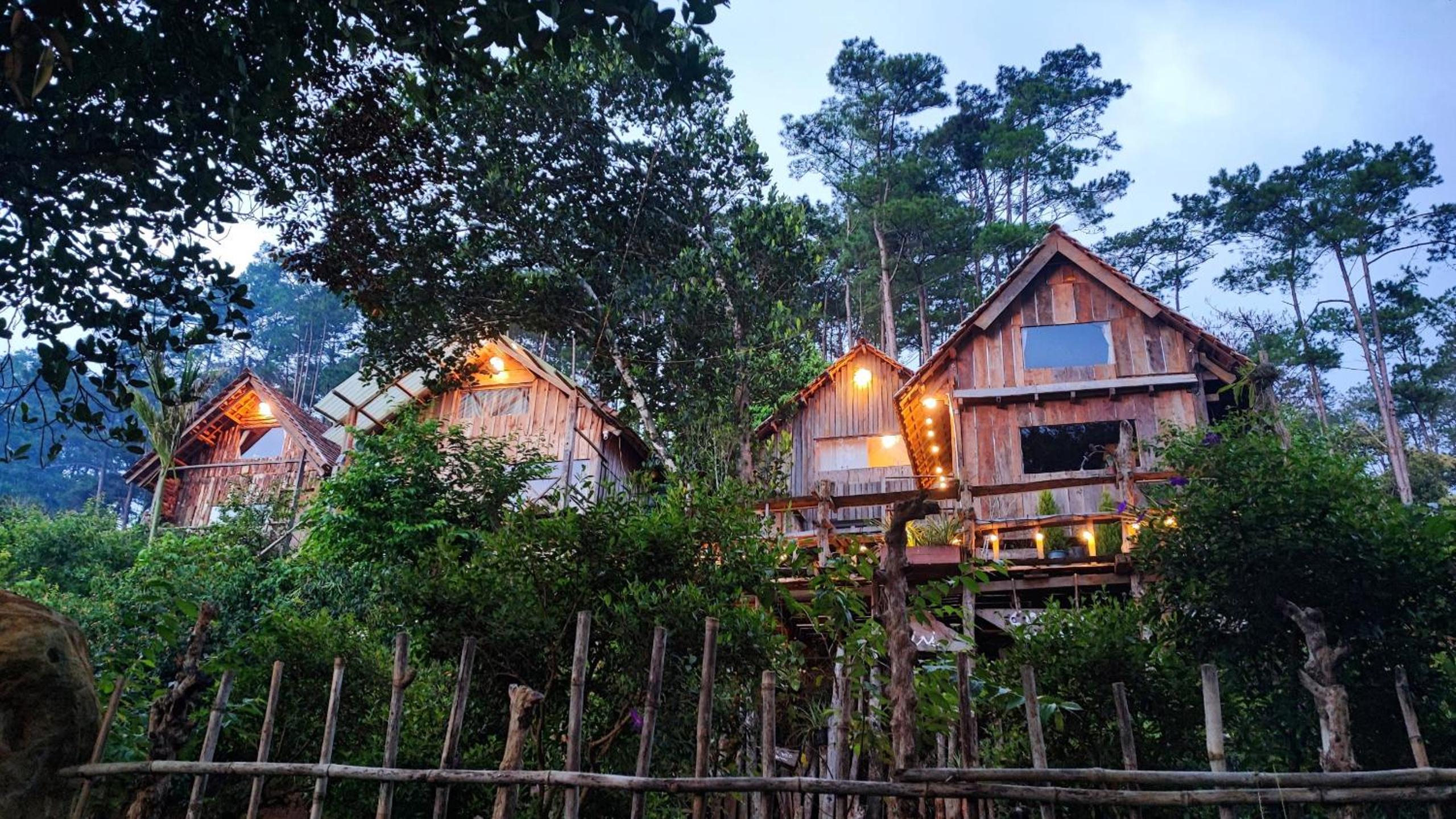 Tổ Chim Ri Homestay Măng Đen view 3