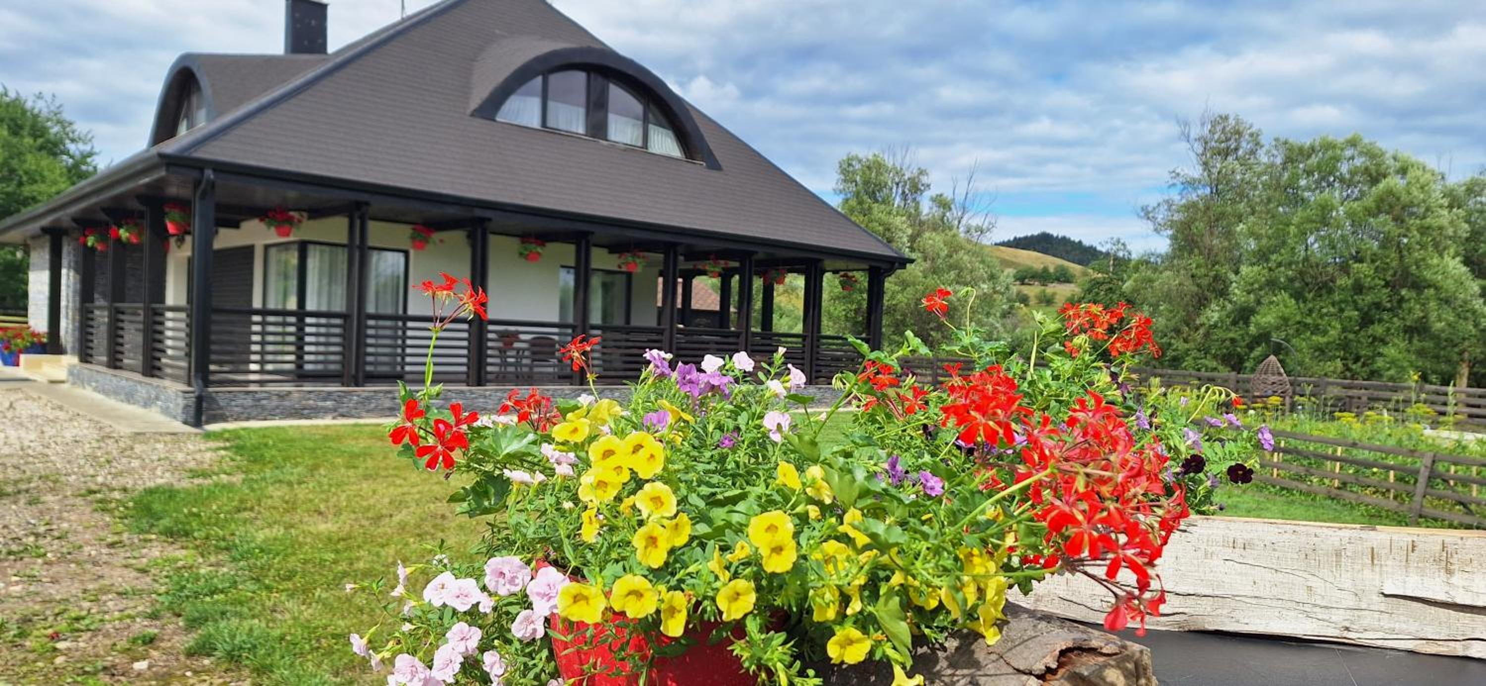 Casa Bukovina view 3